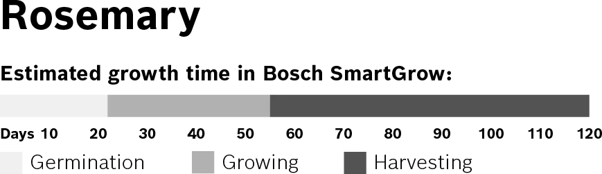 Foto n.º 2 del producto MSGZH024