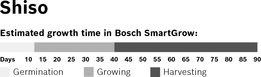 Foto Nr. 3 des Produkts MSGZS006