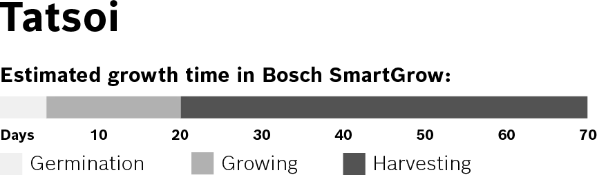 Foto n.º 3 del producto MSGZS008