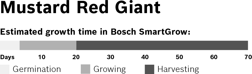 Foto n.º 3 del producto MSGZS012