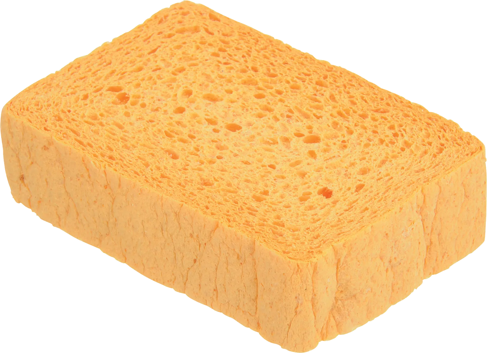 Sponge 