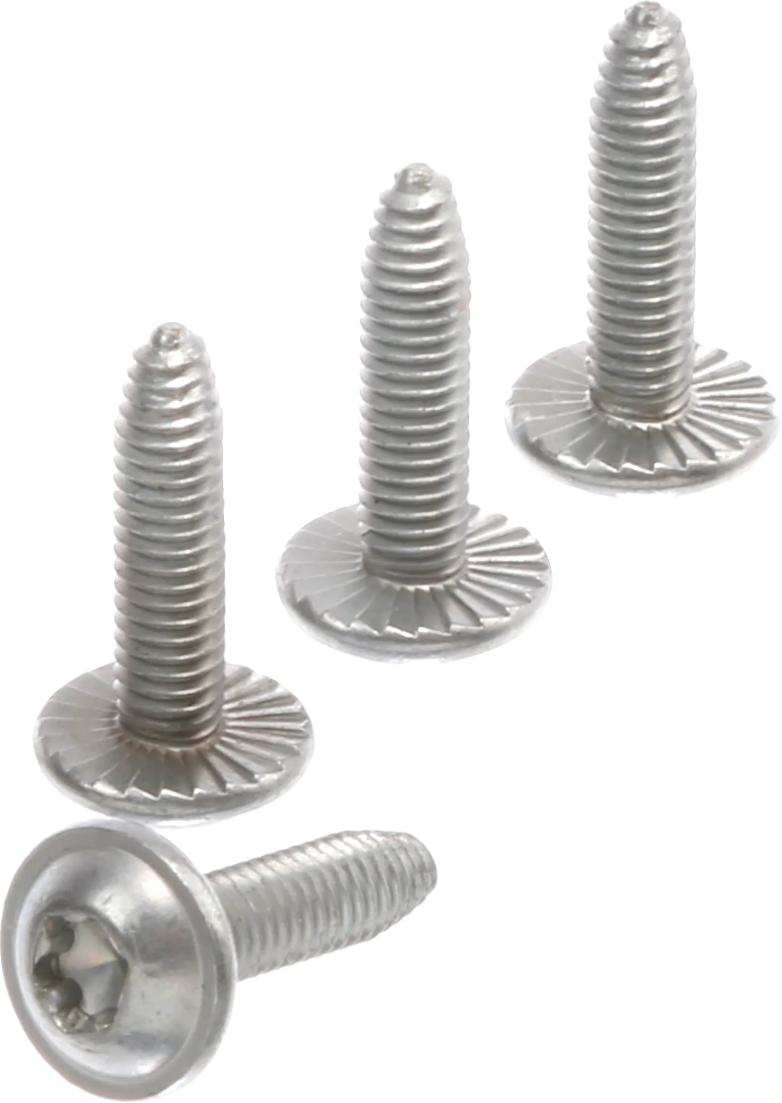 Photo Nr. 3 of the product 12036083