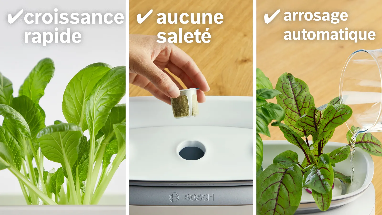 Photo n° 7 du produit MSGP3L