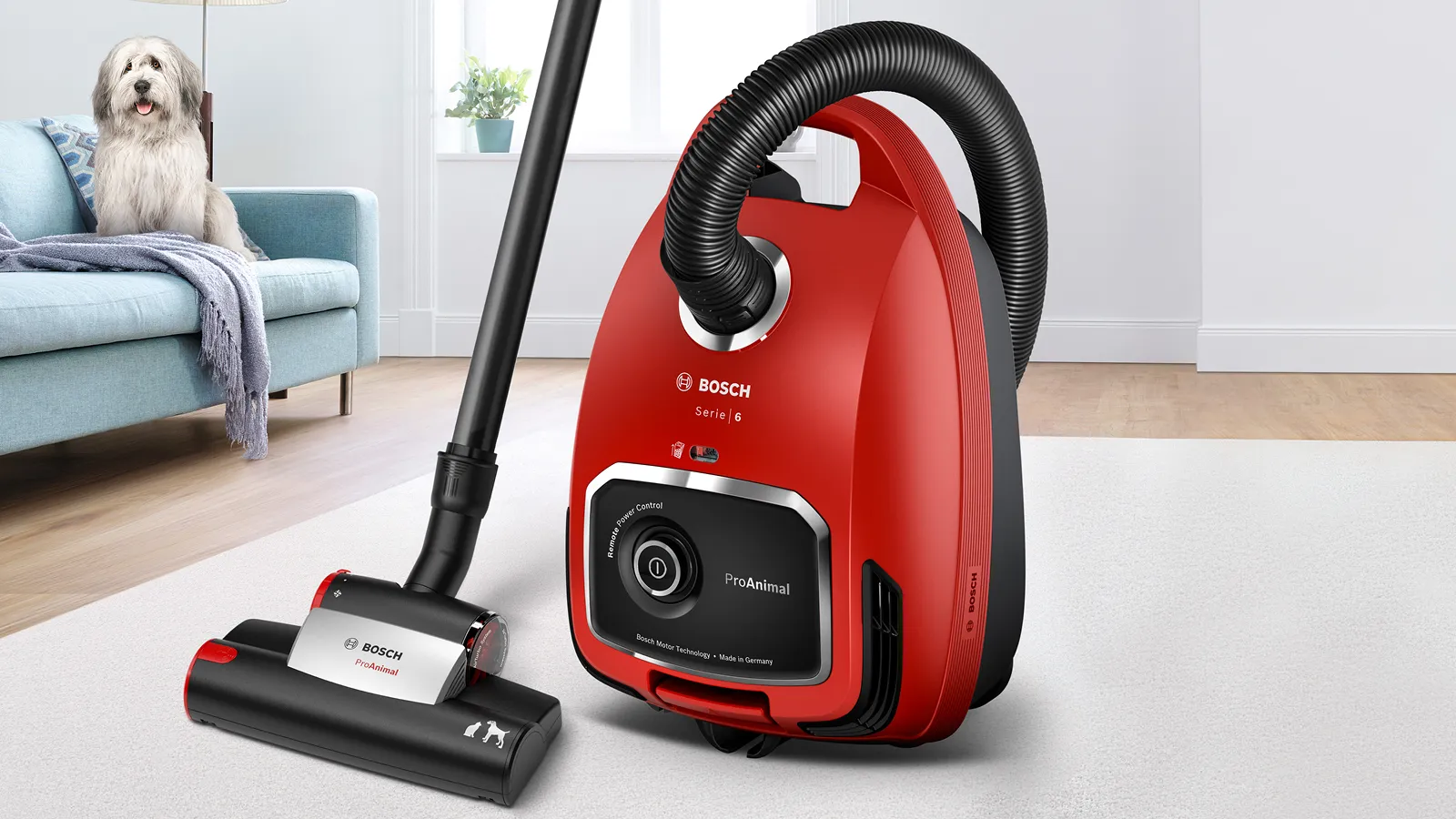 Photo Nr. 4 of the product BGL6PETAU
