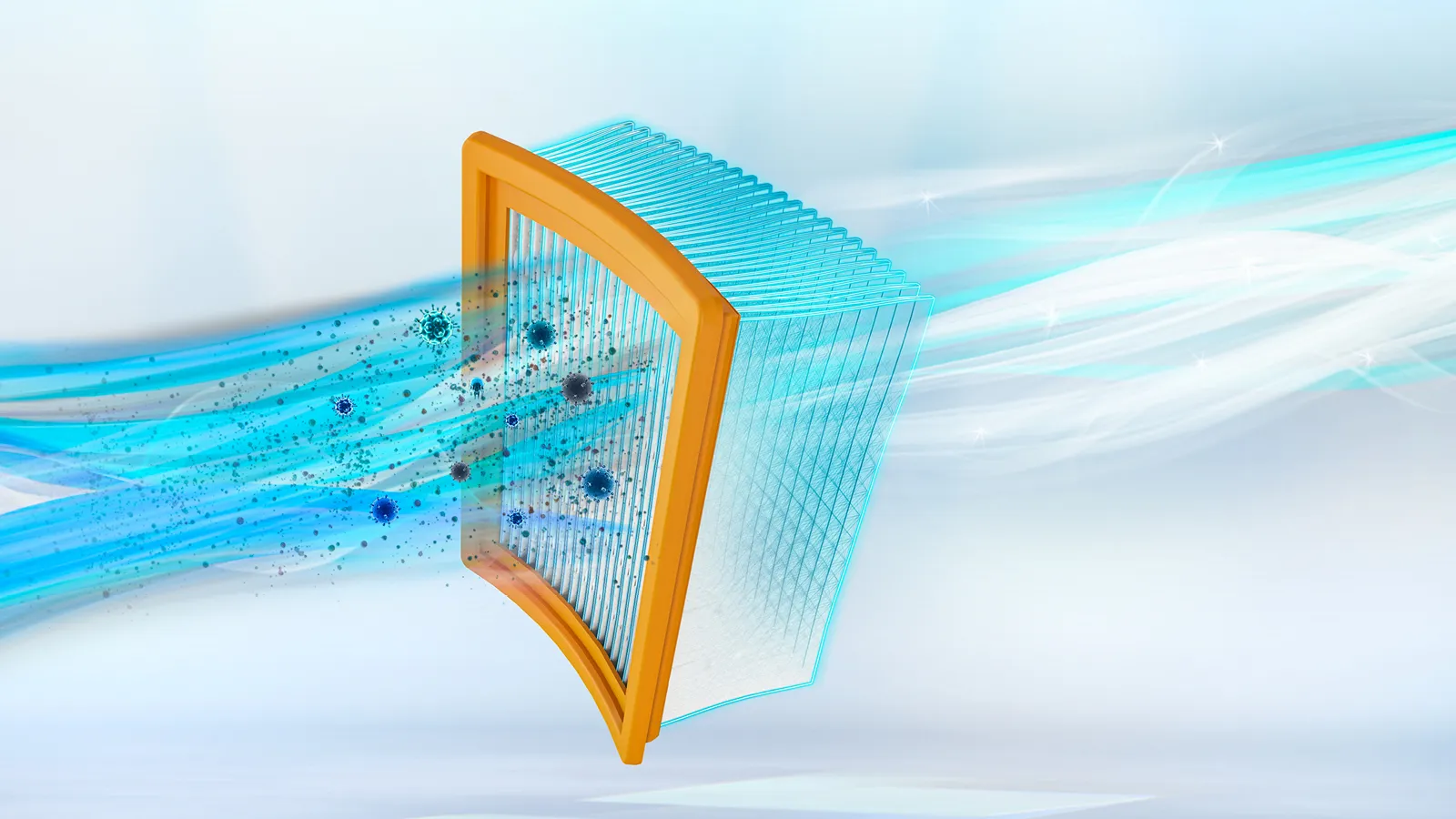 Bild Nr. 13 des Produkts BGDS2CHAMP