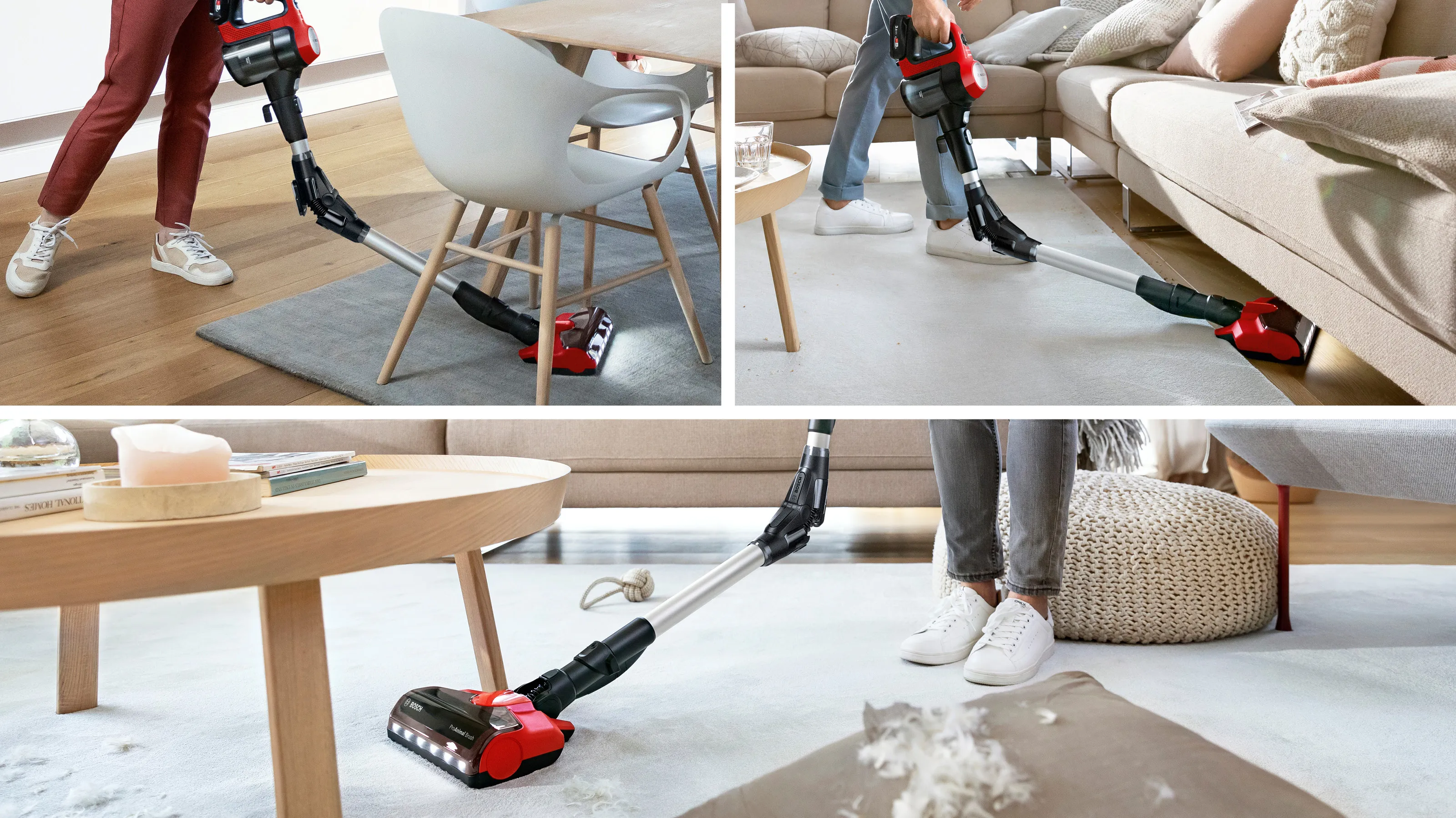 Photo Nr. 8 of the product BCS71PETIN
