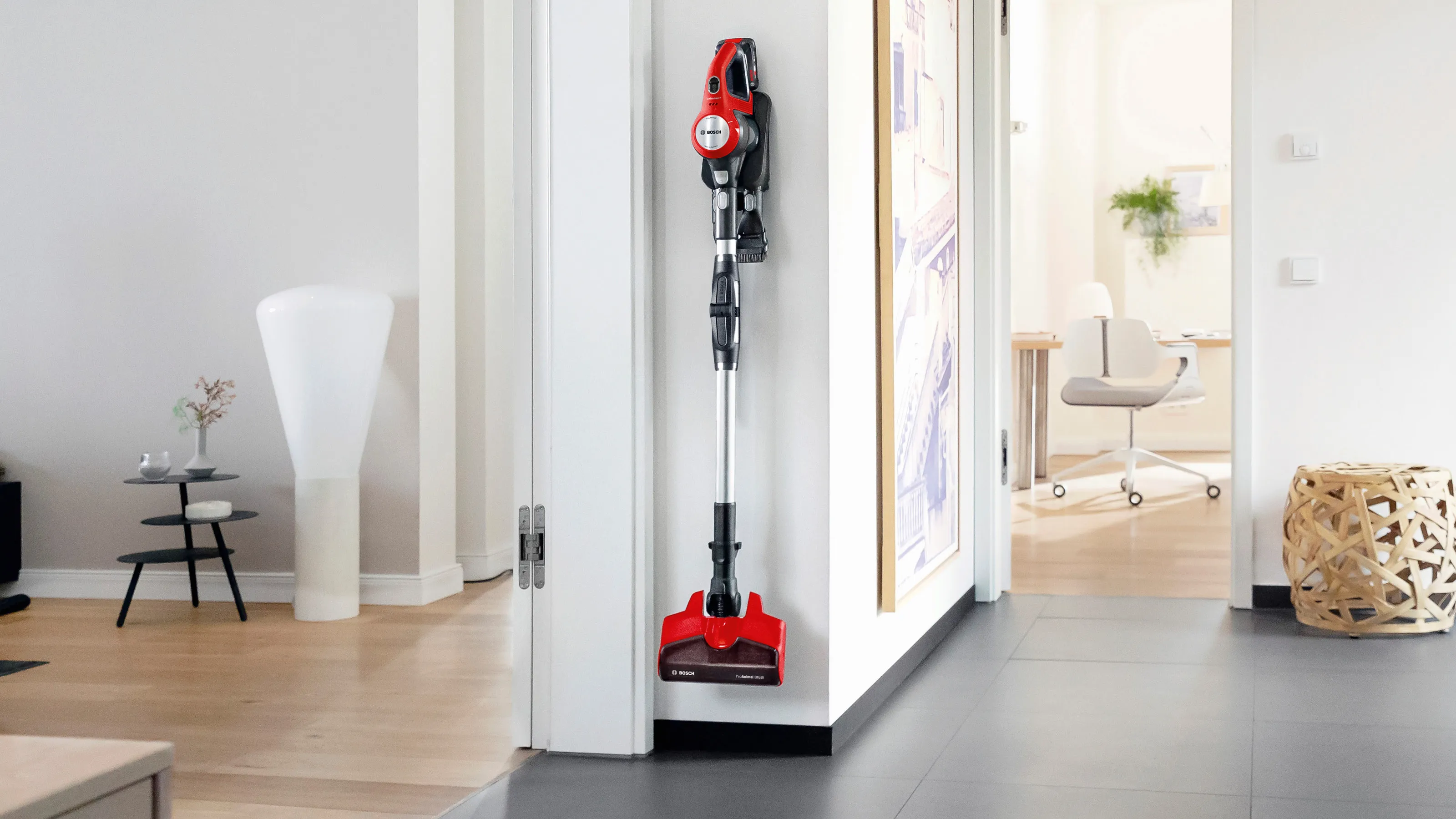 Photo Nr. 12 of the product BCS71PETIN
