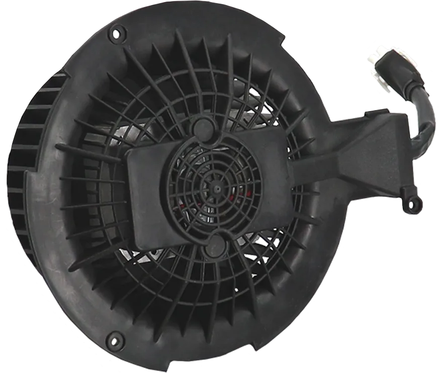 Photo Nr. 1 of the product 00741656