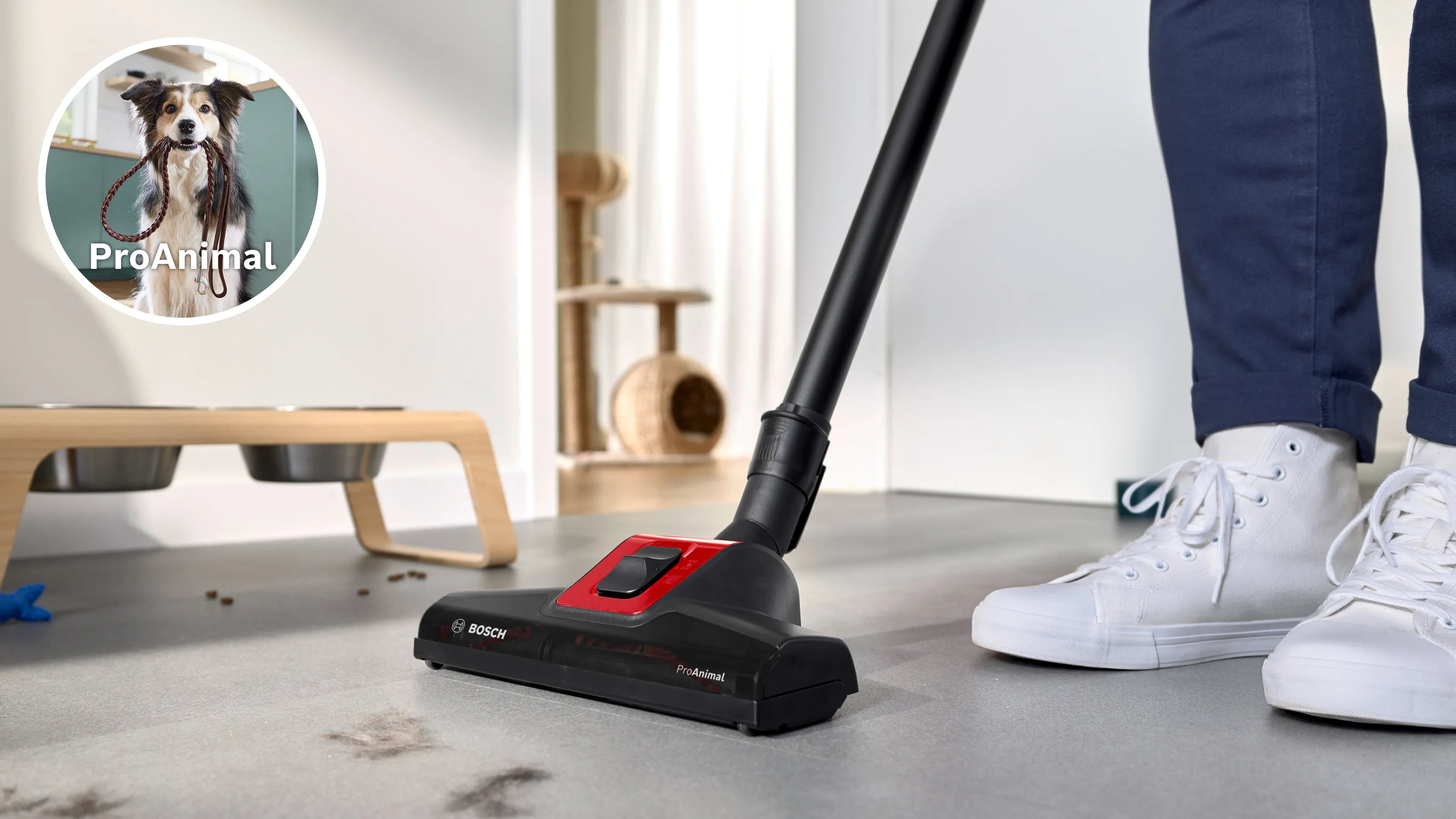 Photo n° 4 du produit BGB41PET1