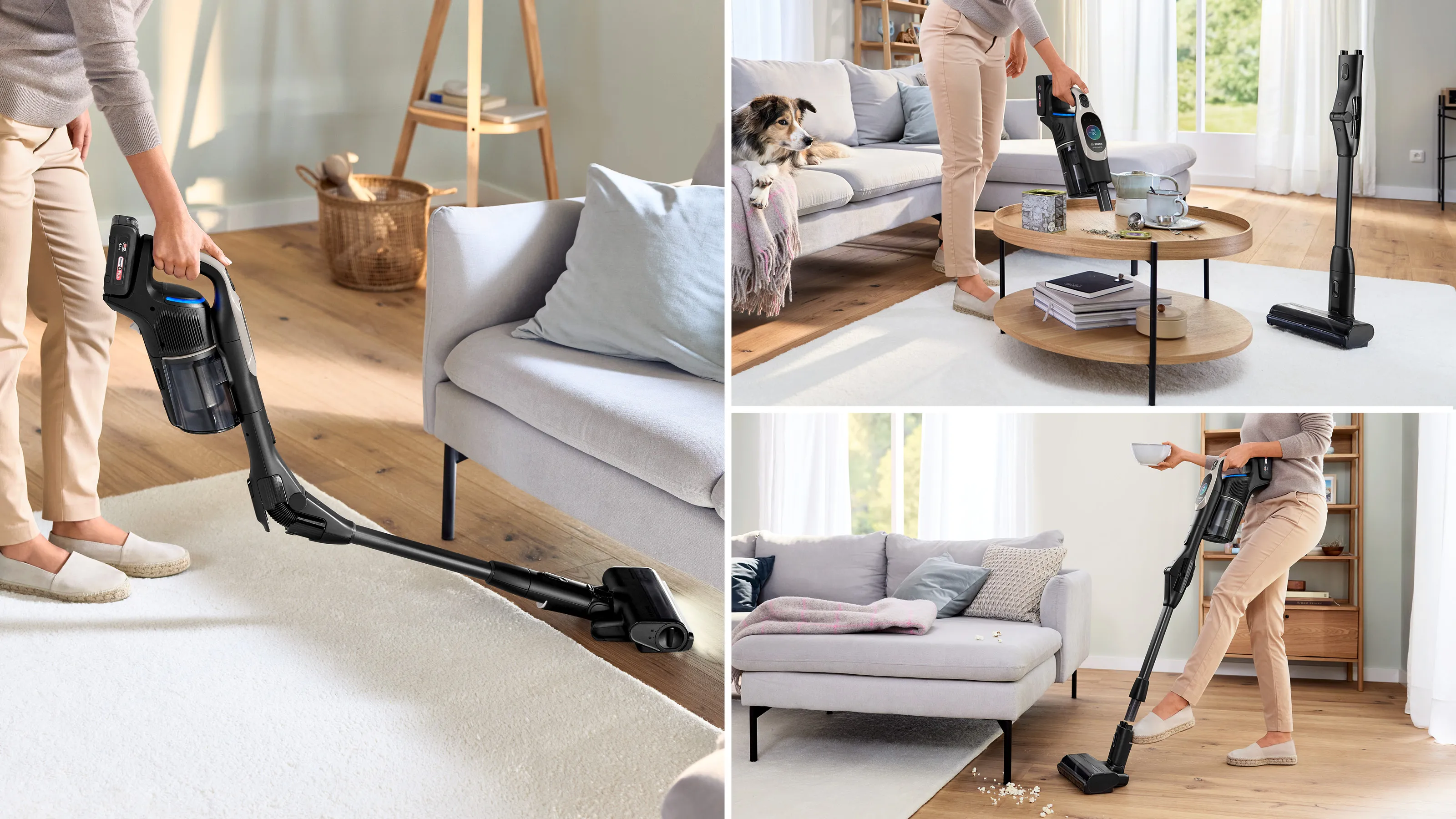 Foto nr. 16 van het product BSS1041GHFB
