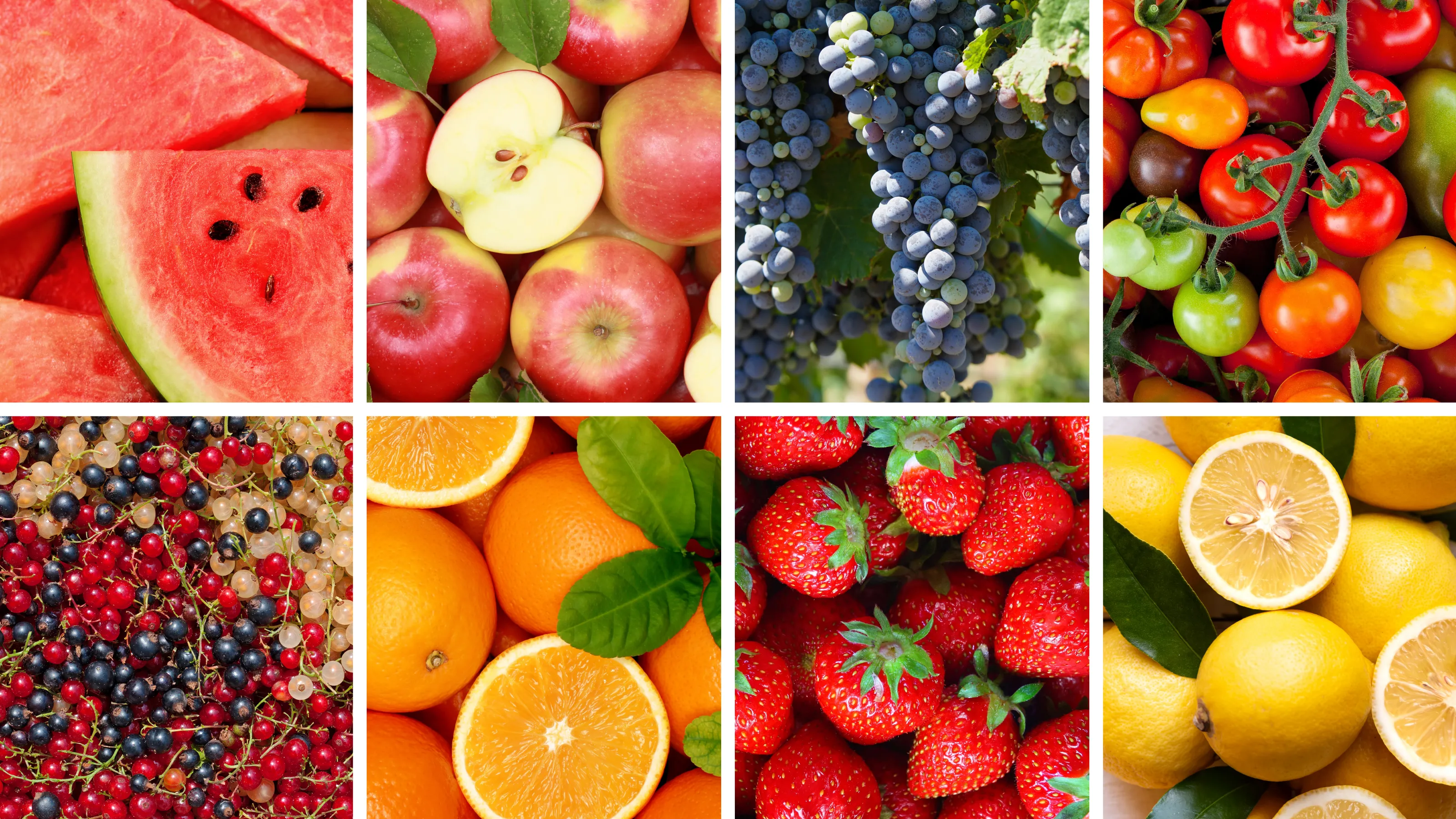 Zdjęcie produktu nr 3 17008990