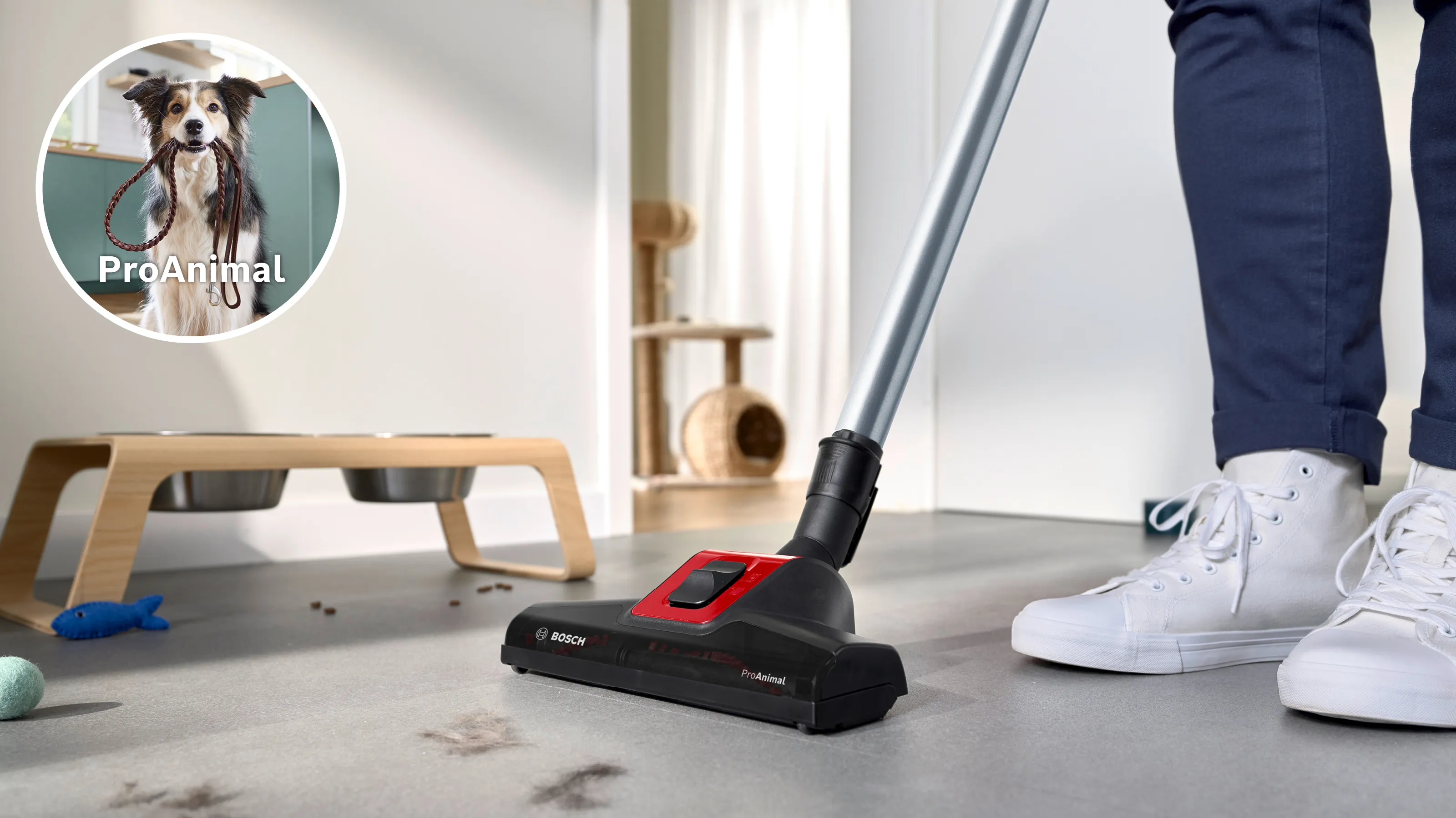 Photo n° 4 du produit BGB8PET3A