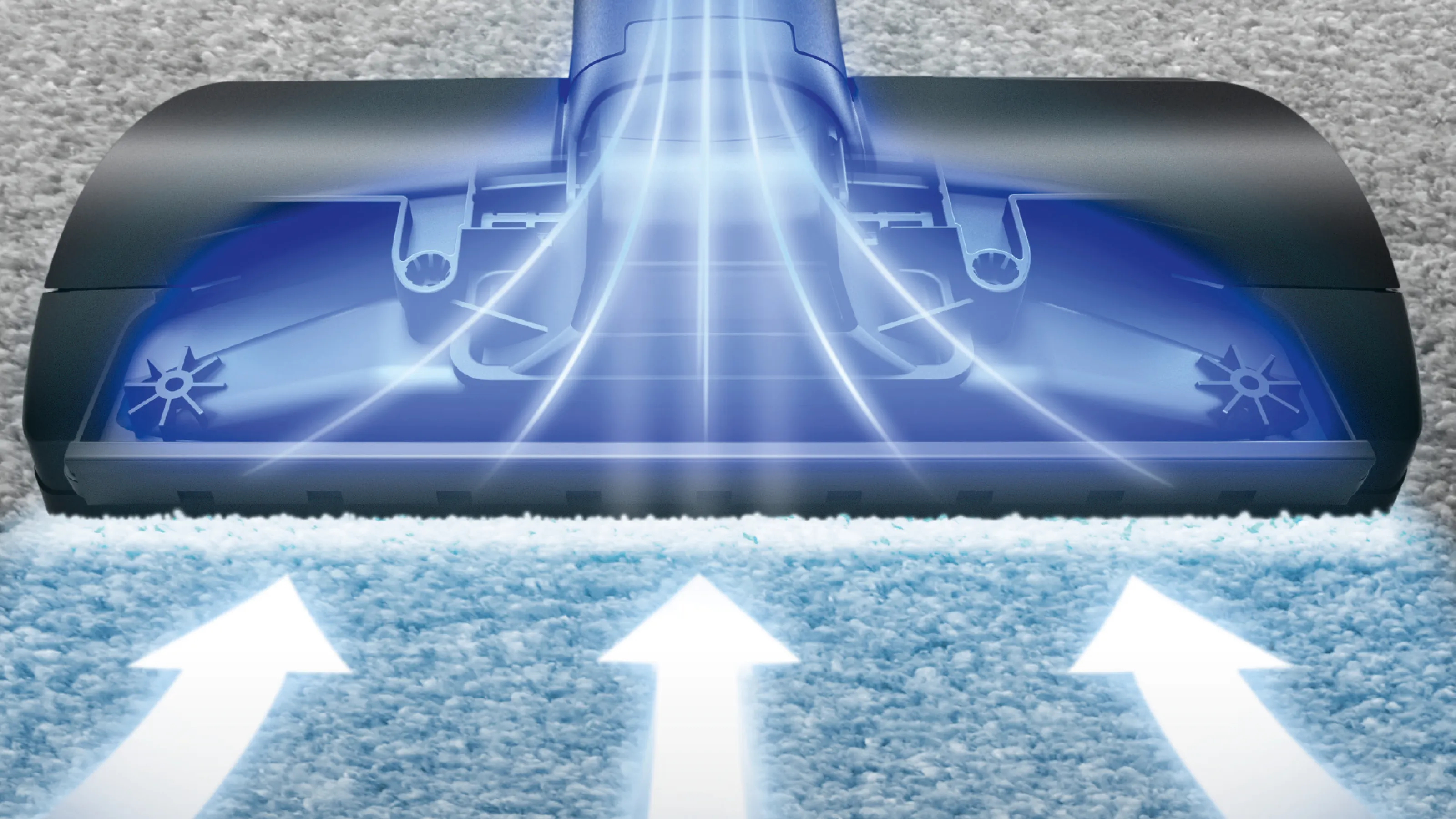 Foto Nr. 8 av produkten BBZGALLECO