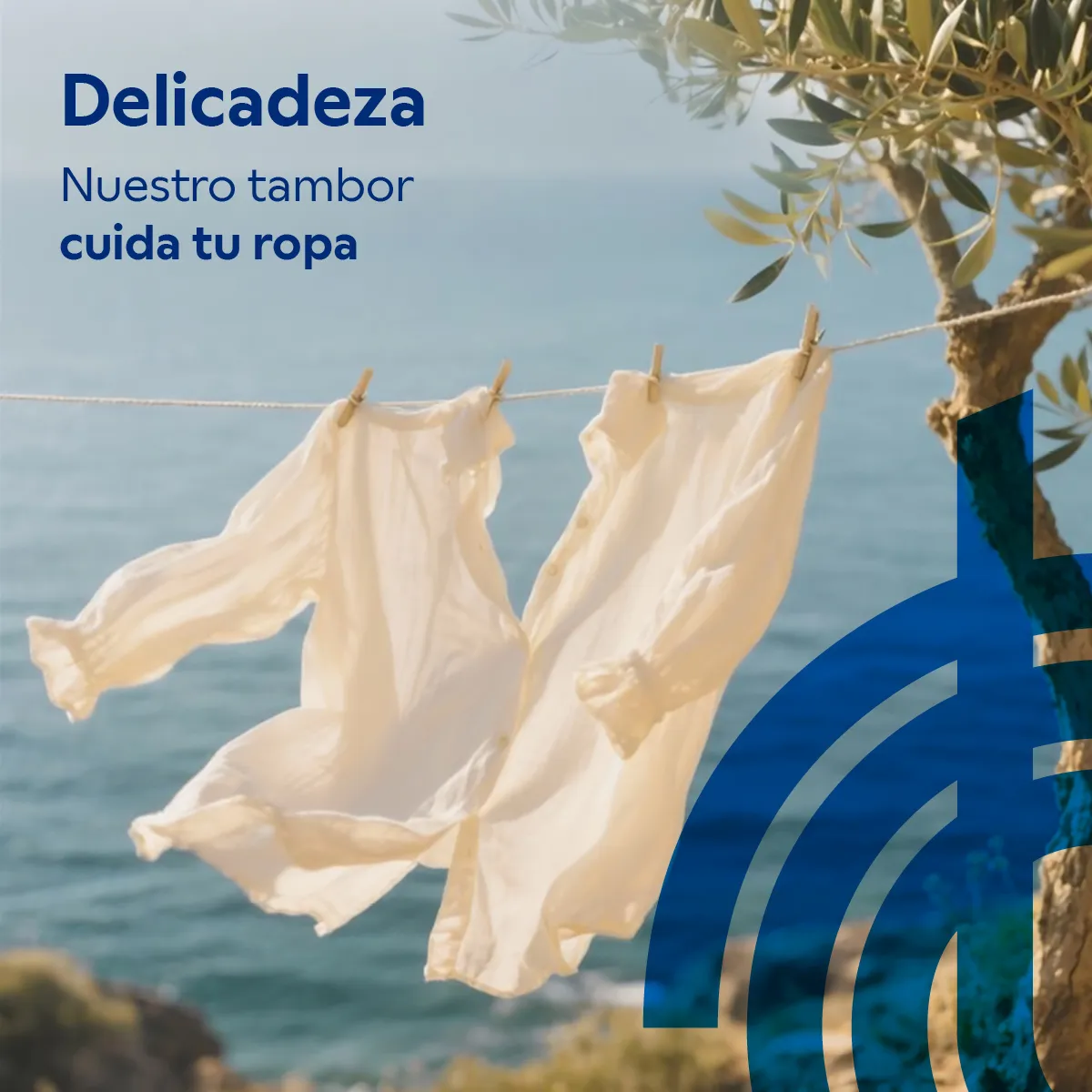 Foto nº 7 del producto 3TI987B