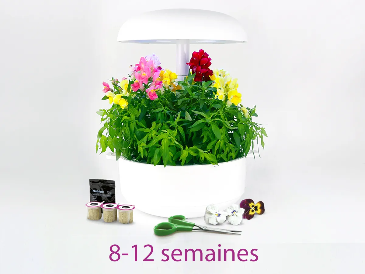 Photo n° 4 du produit MSGZF005