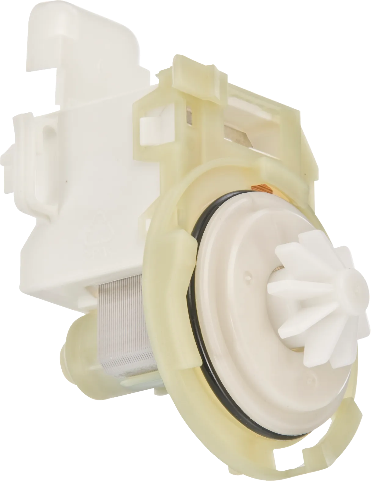 Photo Nr. 1 of the product 00642239