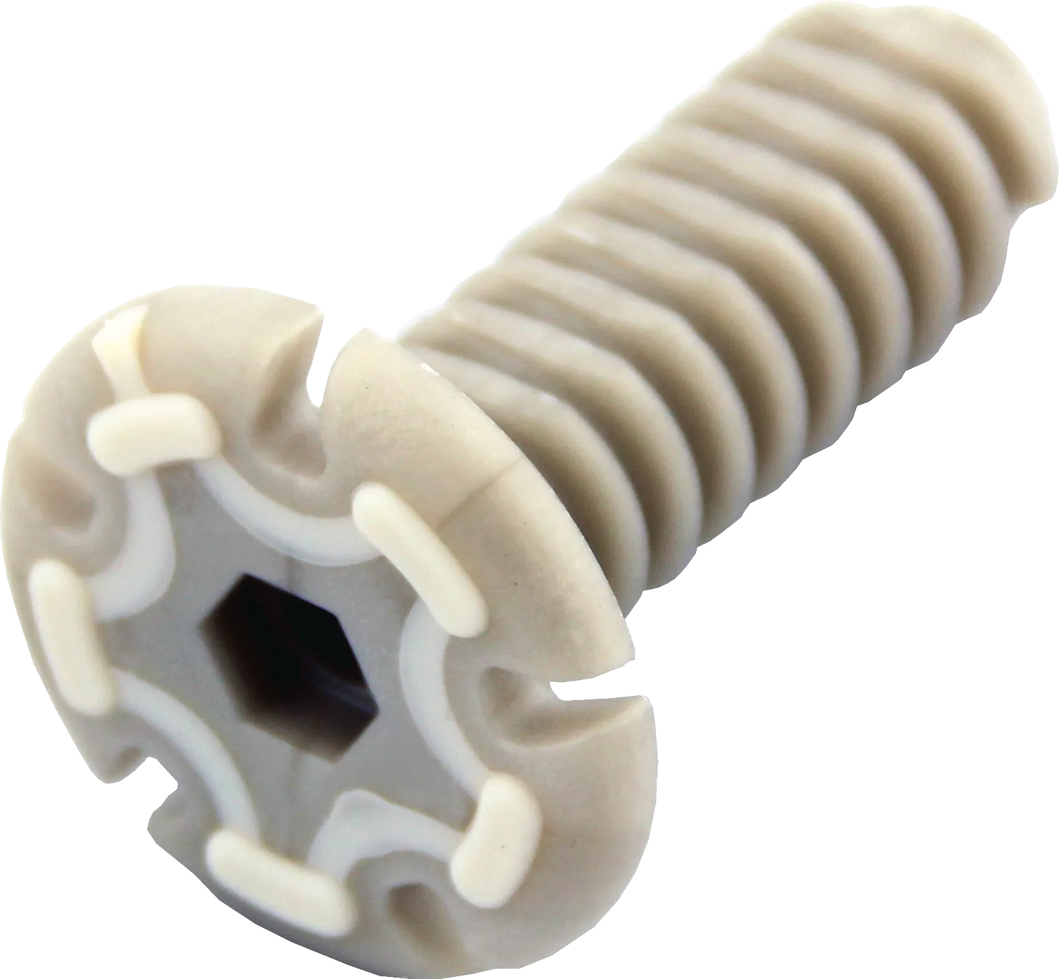 Photo Nr. 1 of the product 00617586