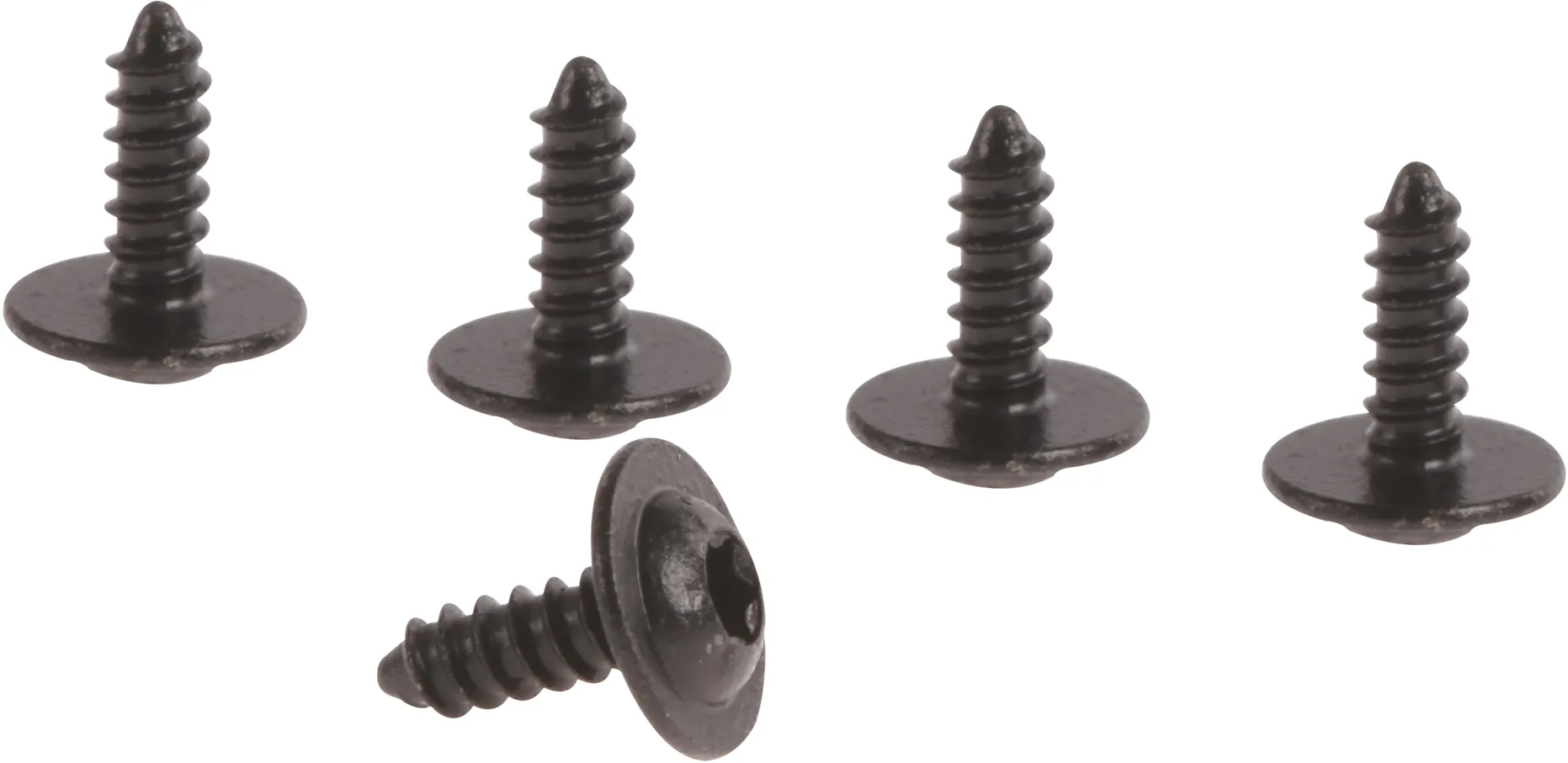 Photo Nr. 1 of the product 00165917