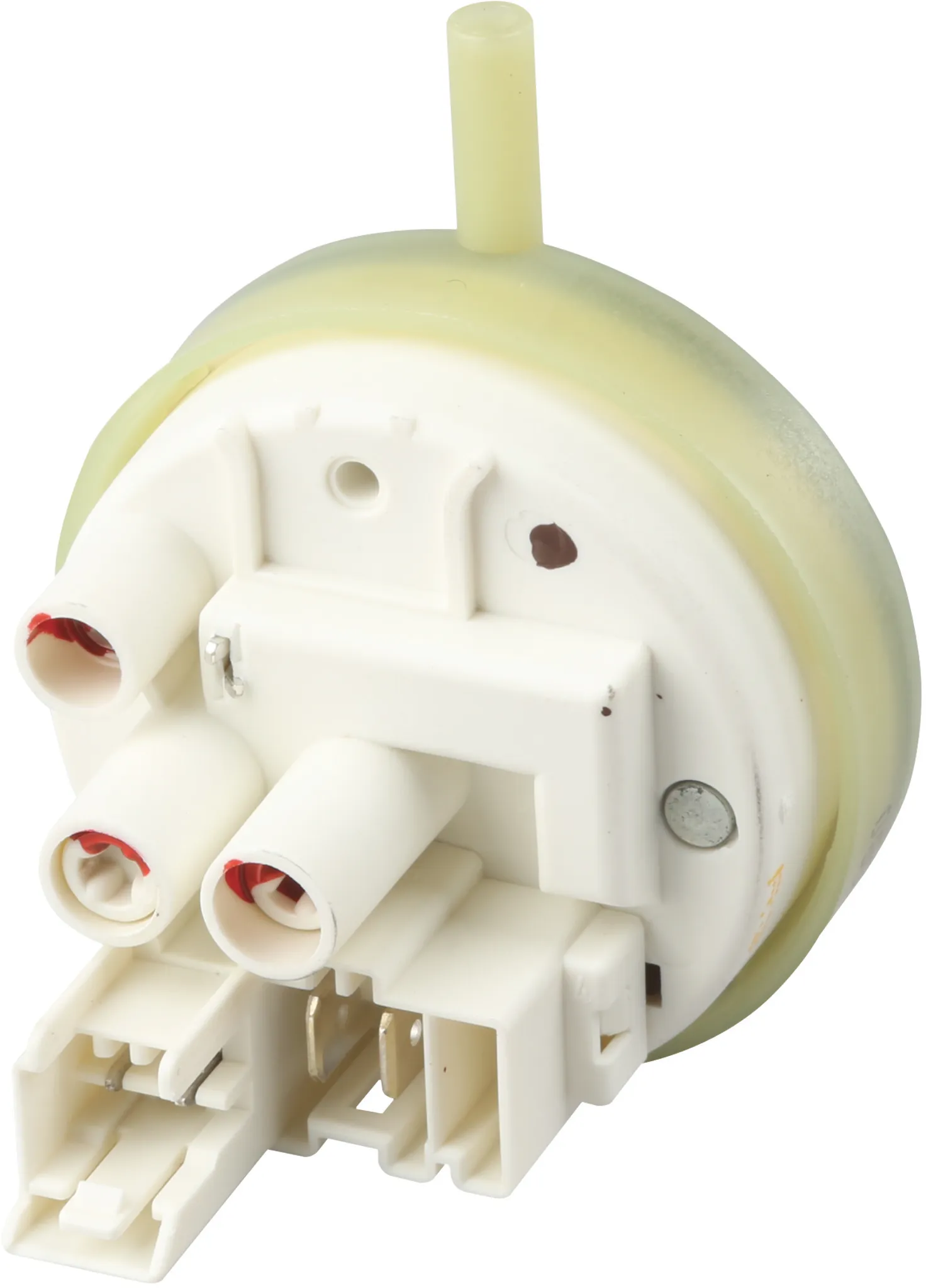 Photo Nr. 1 of the product 00604458