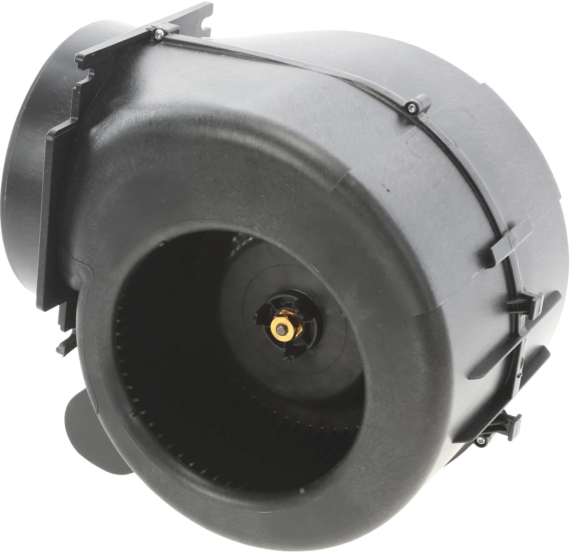 Foto n.º 2 del producto 00742592