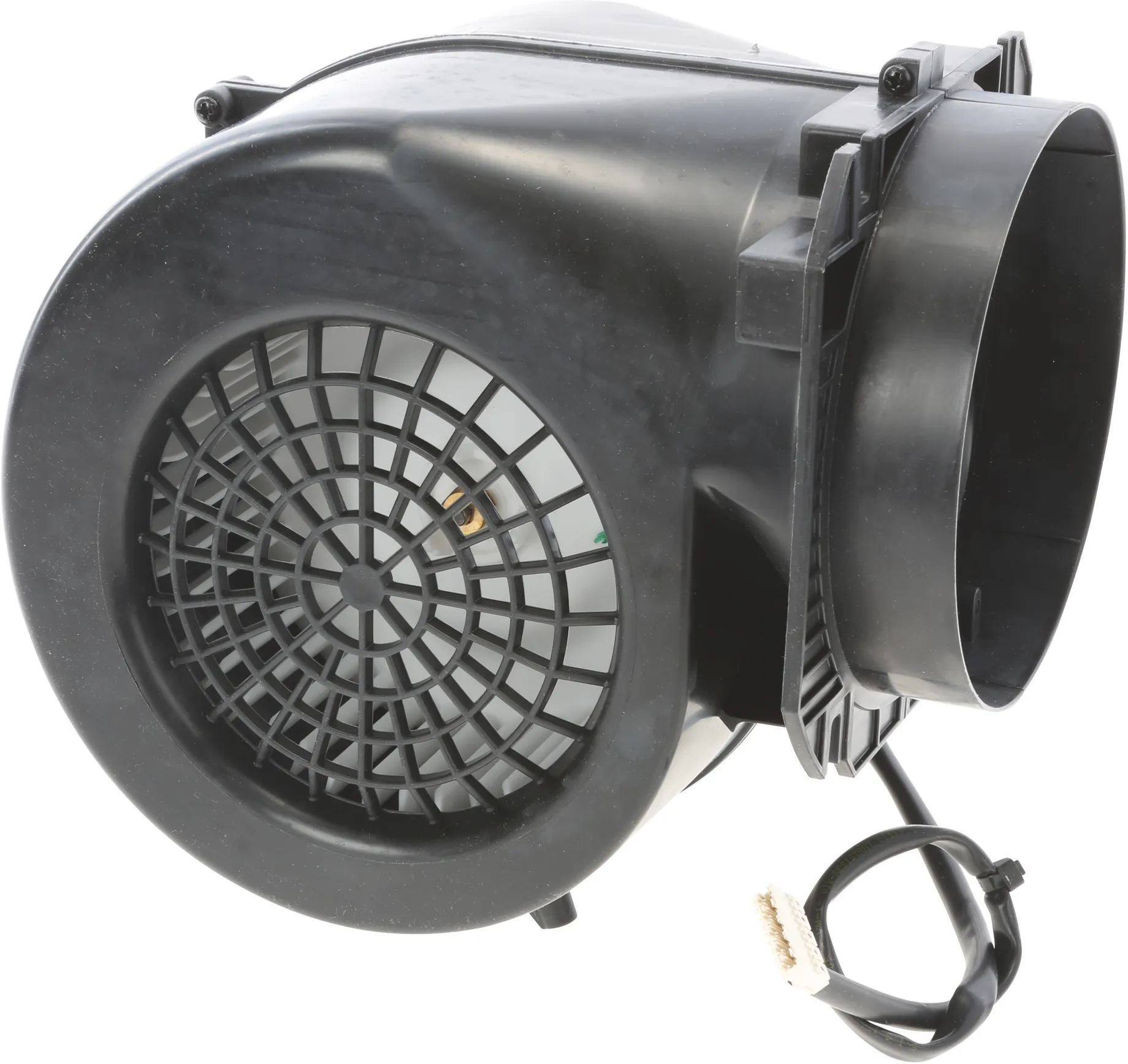 Foto Nr. 1 des Produkts 00703378