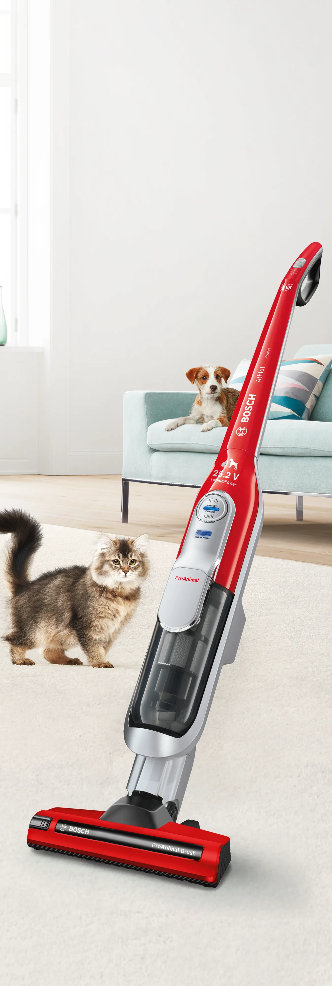 Photo Nr. 2 of the product BBH65PETGB