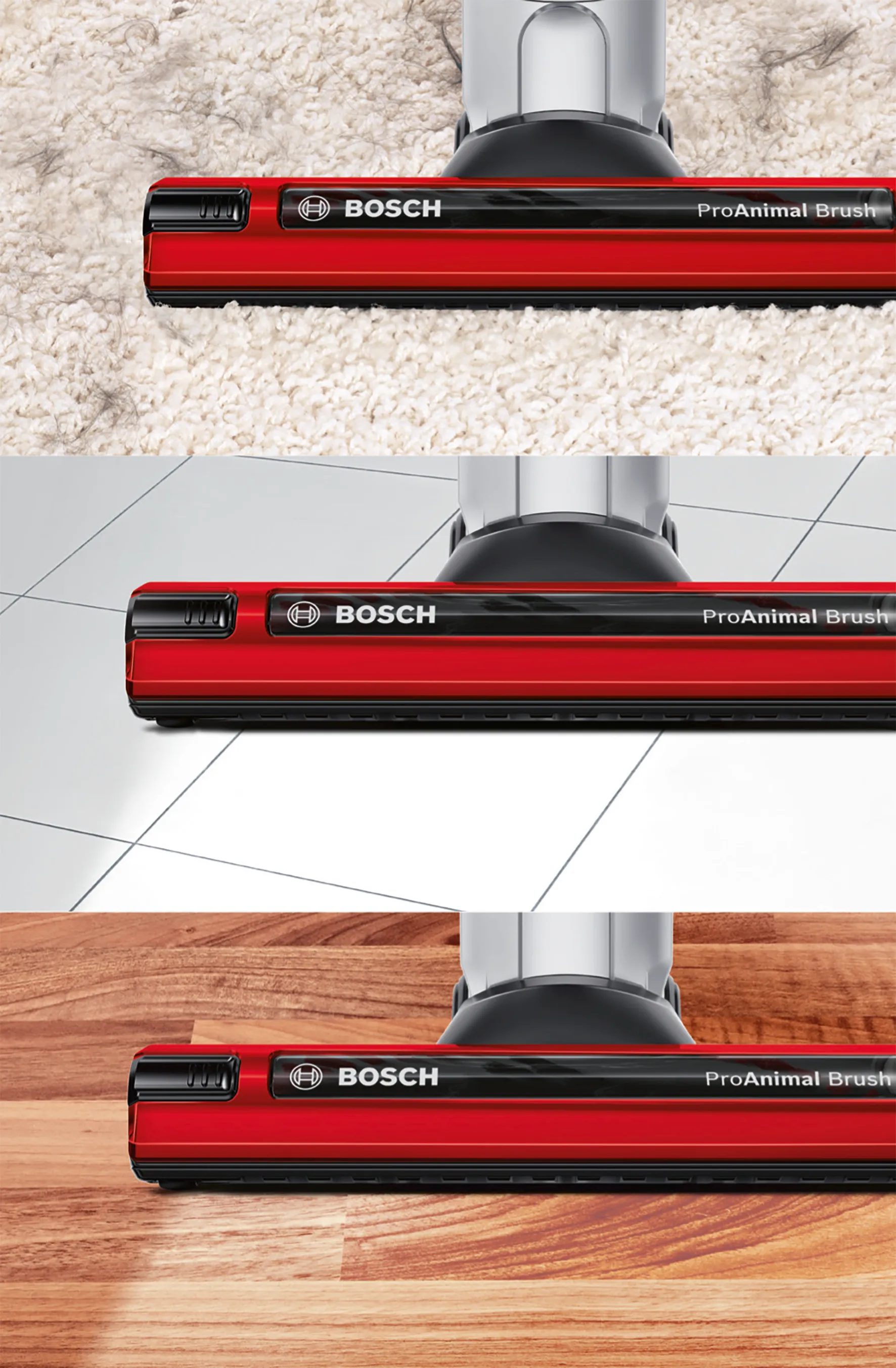 Photo Nr. 10 of the product BBH65PETGB