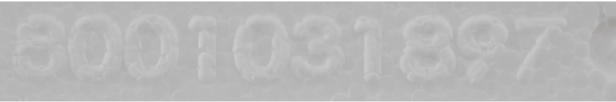 Foto n.º 2 del producto 00775079