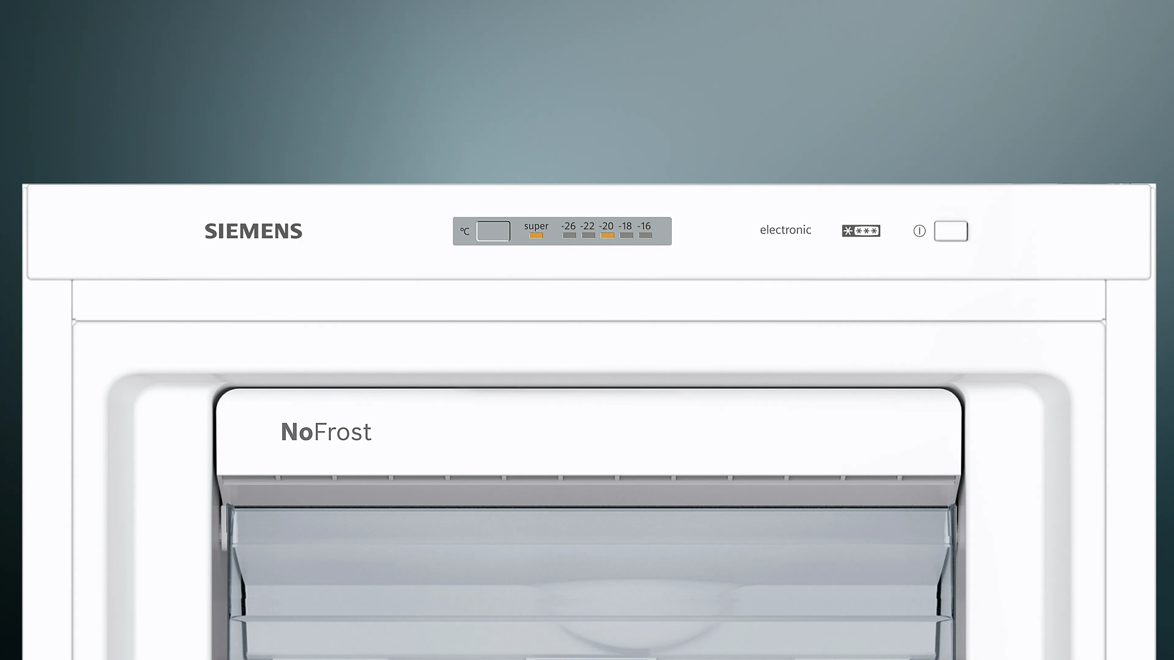 Foto Nr. 3 des Produkts GS29NFW3V