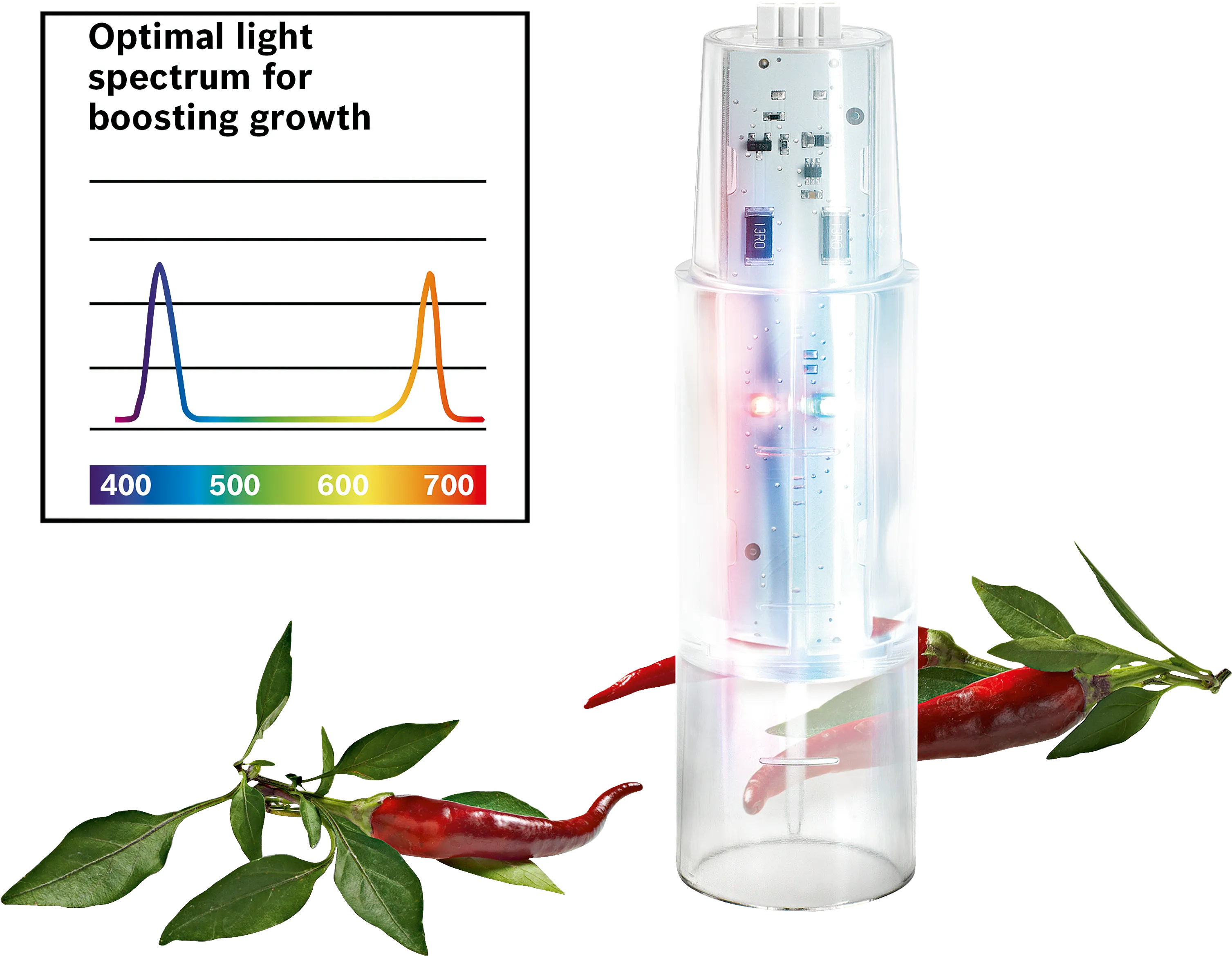Foto nr. 1 van het product 17002655