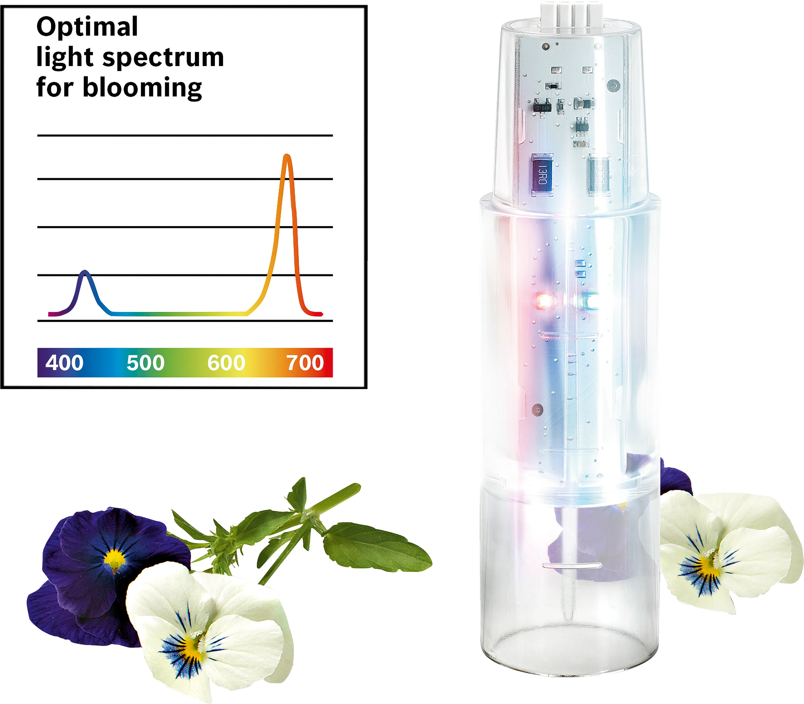 Foto n.º 1 del producto 17002656