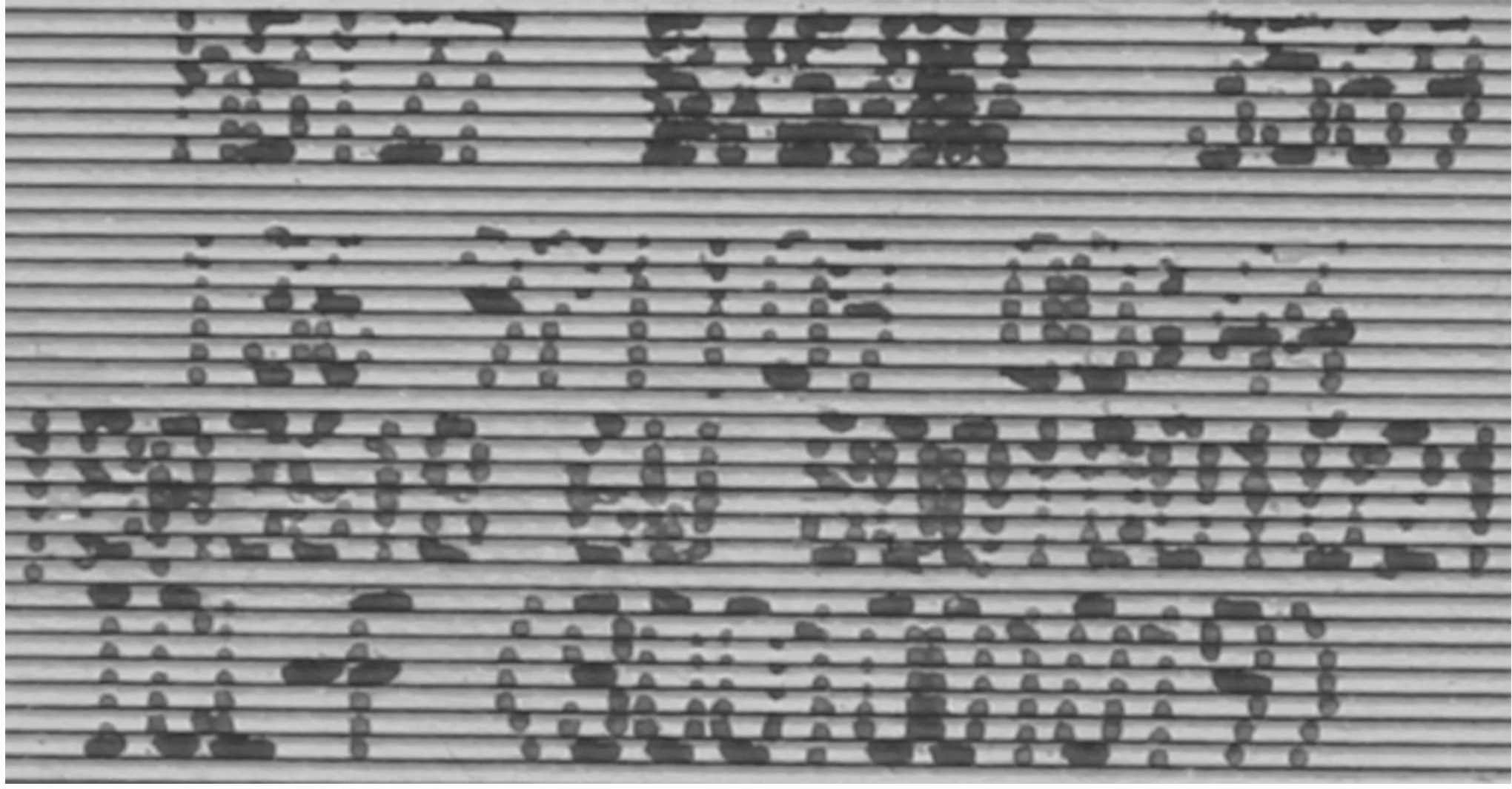 Foto nr. 3 van het product 12022541