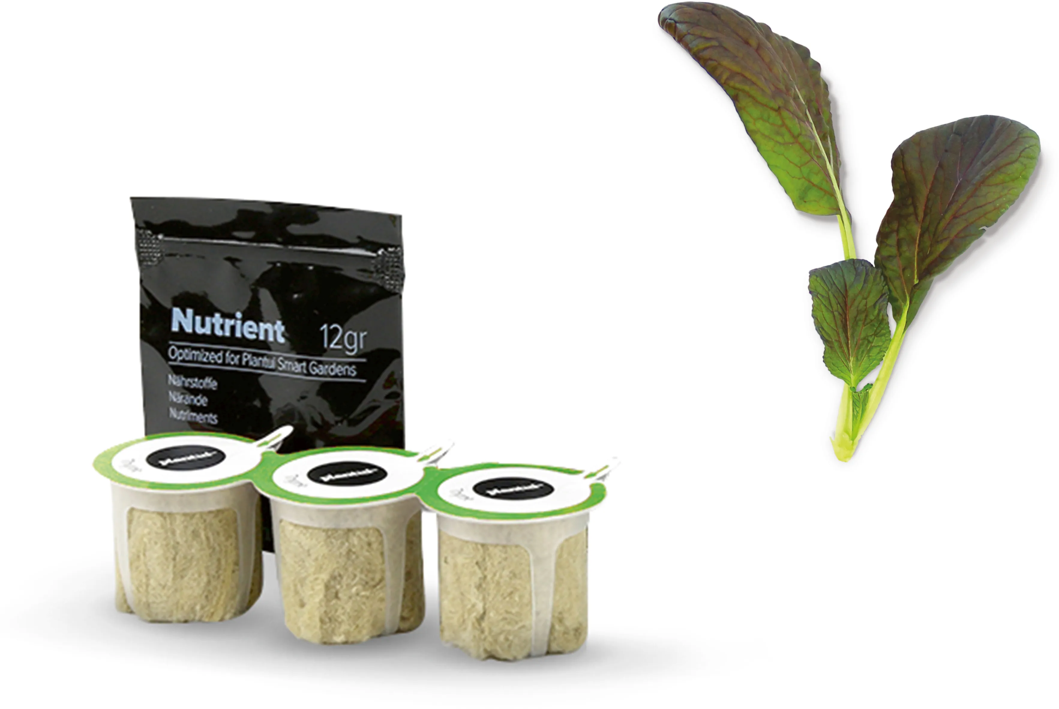 Foto nr. 2 van het product 17002650