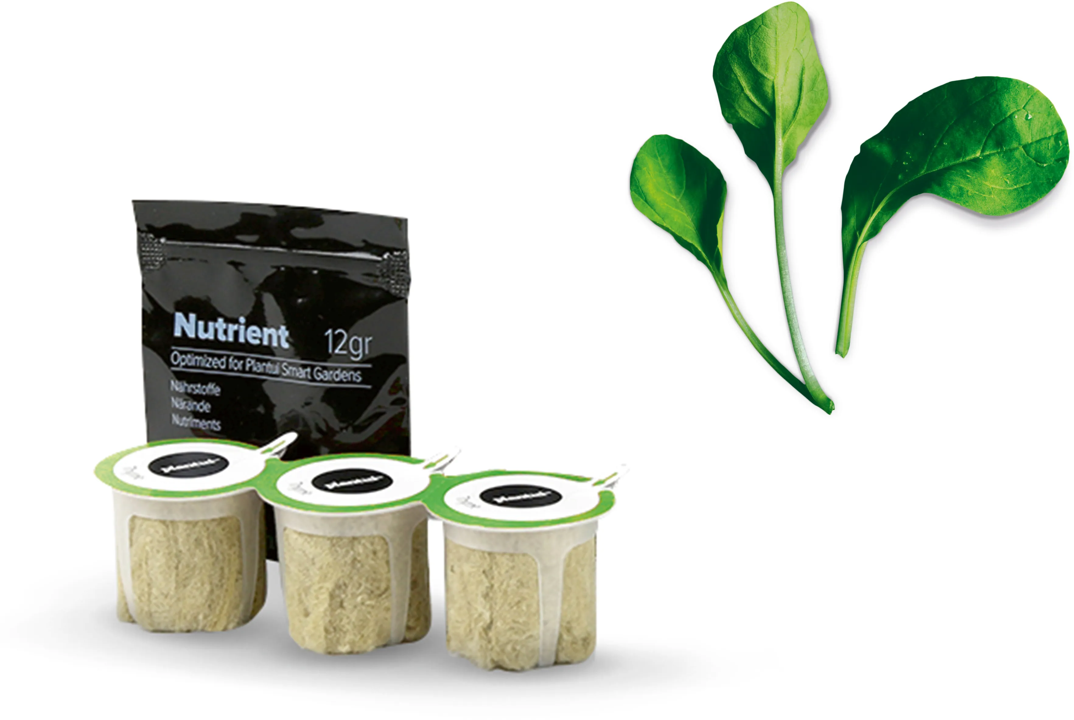 Foto n.º 1 del producto 17002637