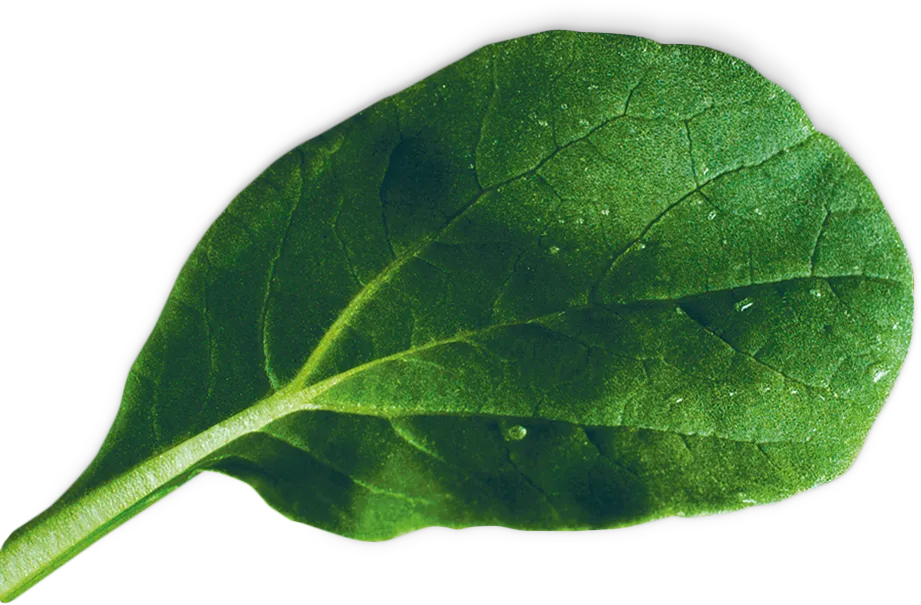 Foto n.º 1 del producto 17002641