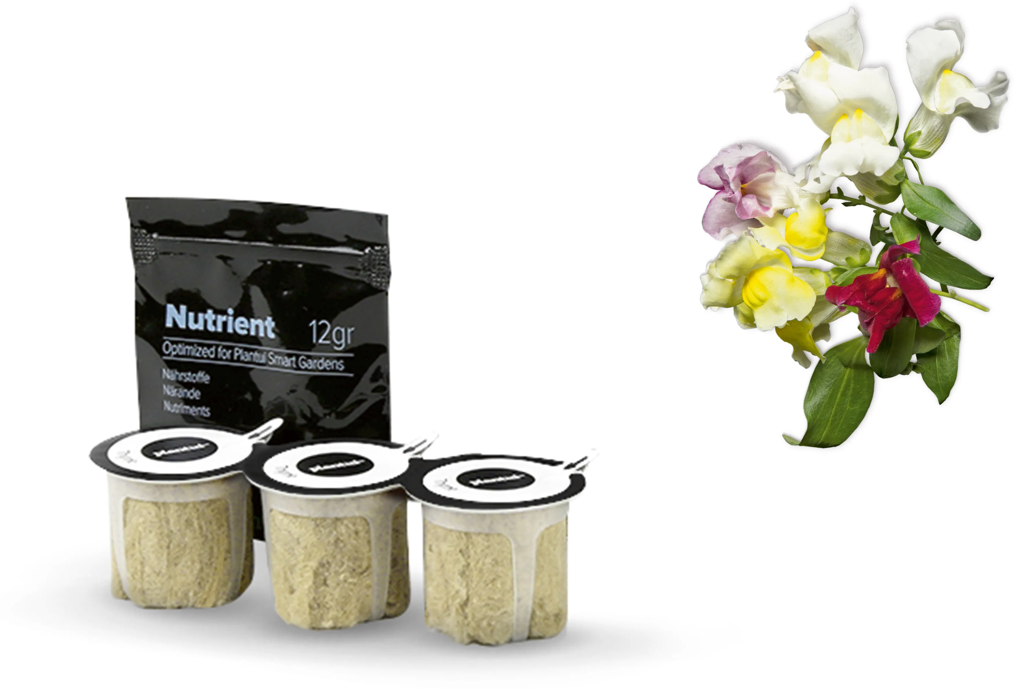 Foto nr. 1 van het product 17002615