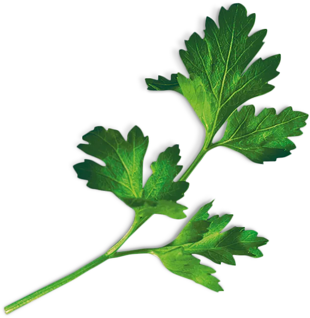 Photo n° 1 du produit 17002623
