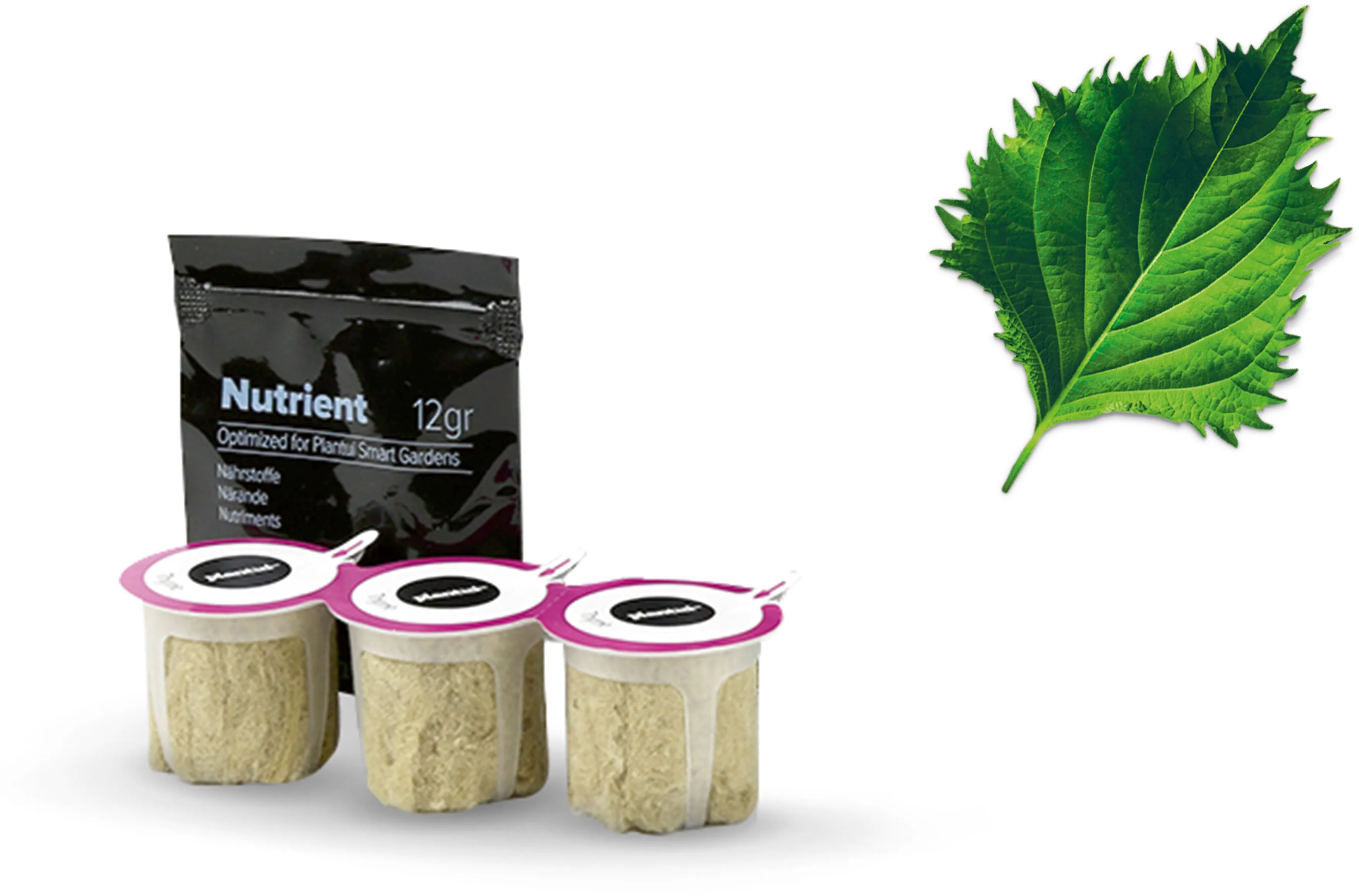 Foto Nr. 1 des Produkts MSGZS006