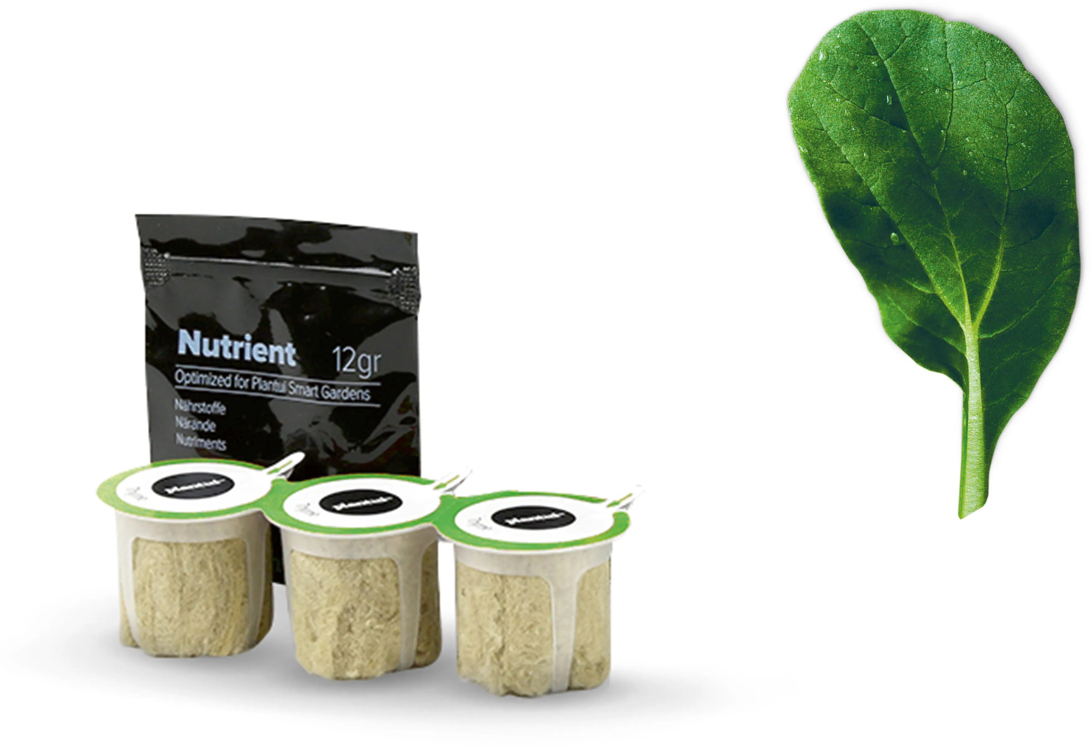 Foto n.º 1 del producto MSGZS008