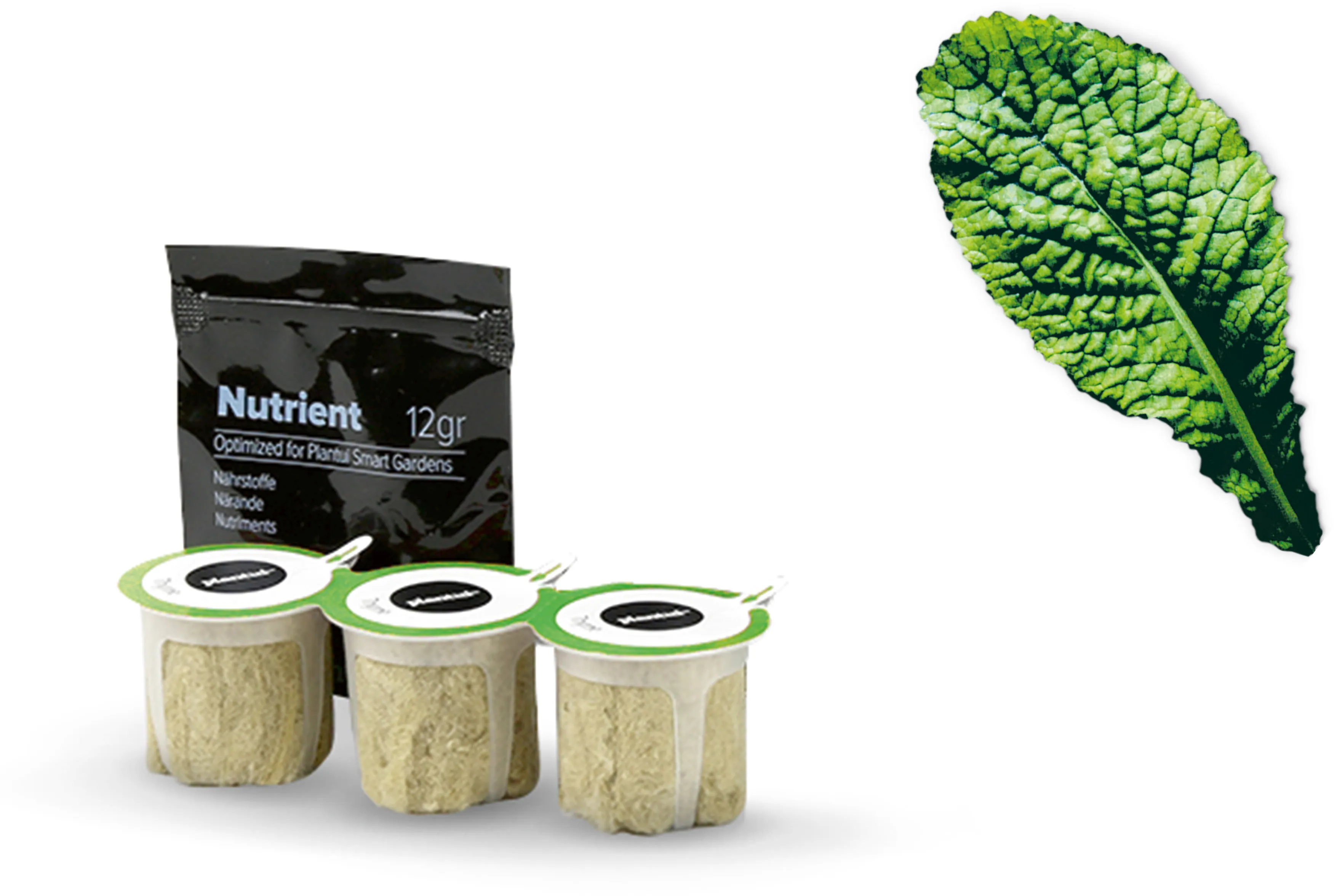 Foto n.º 1 del producto MSGZS012