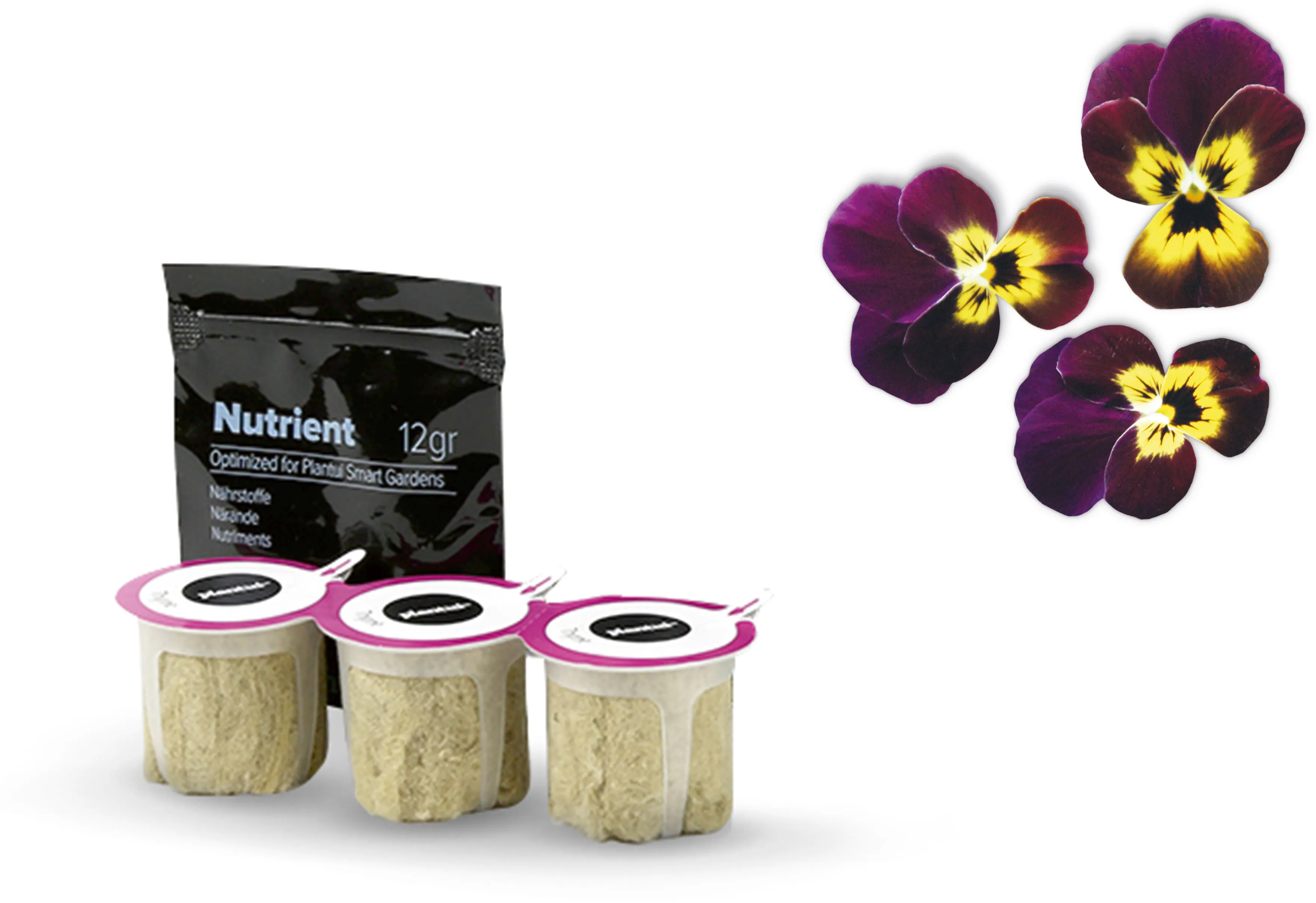 Foto n.º 1 del producto MSGZF003