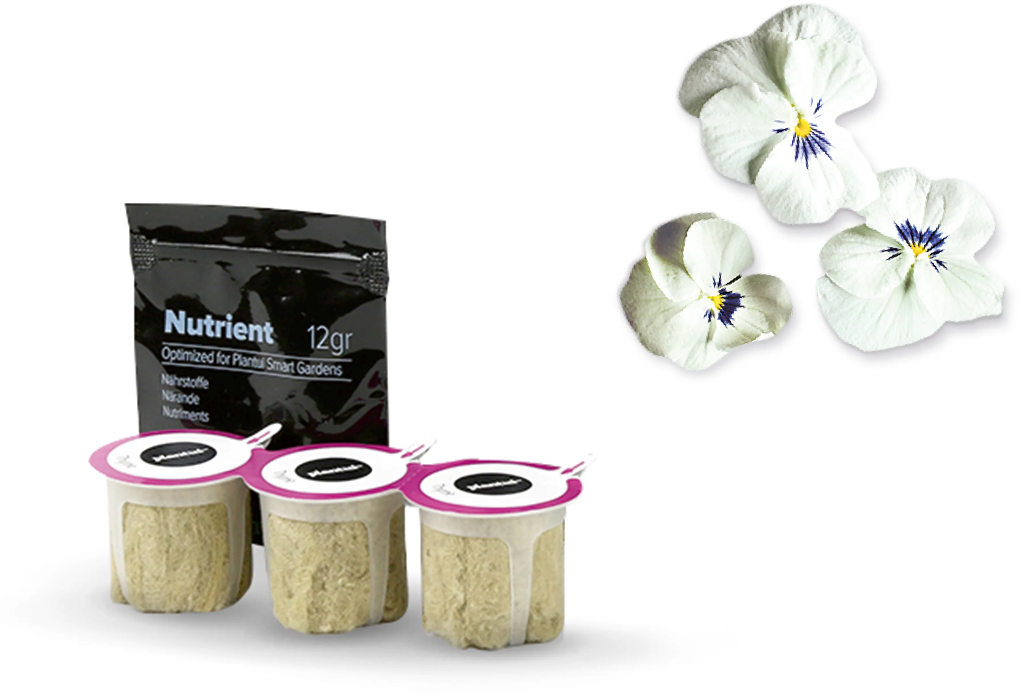 Photo n° 1 du produit MSGZF005