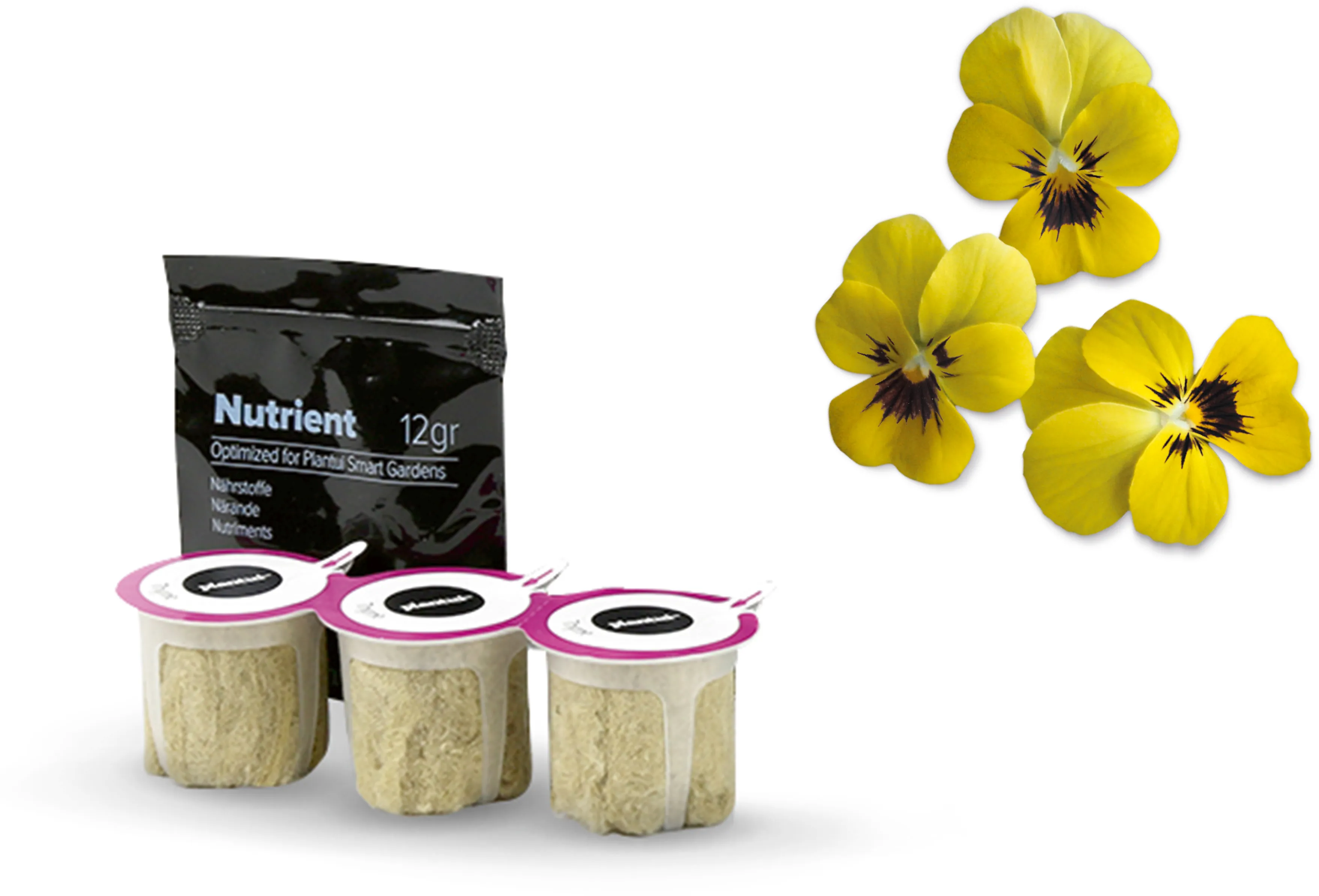 Foto nr. 1 van het product MSGZF007