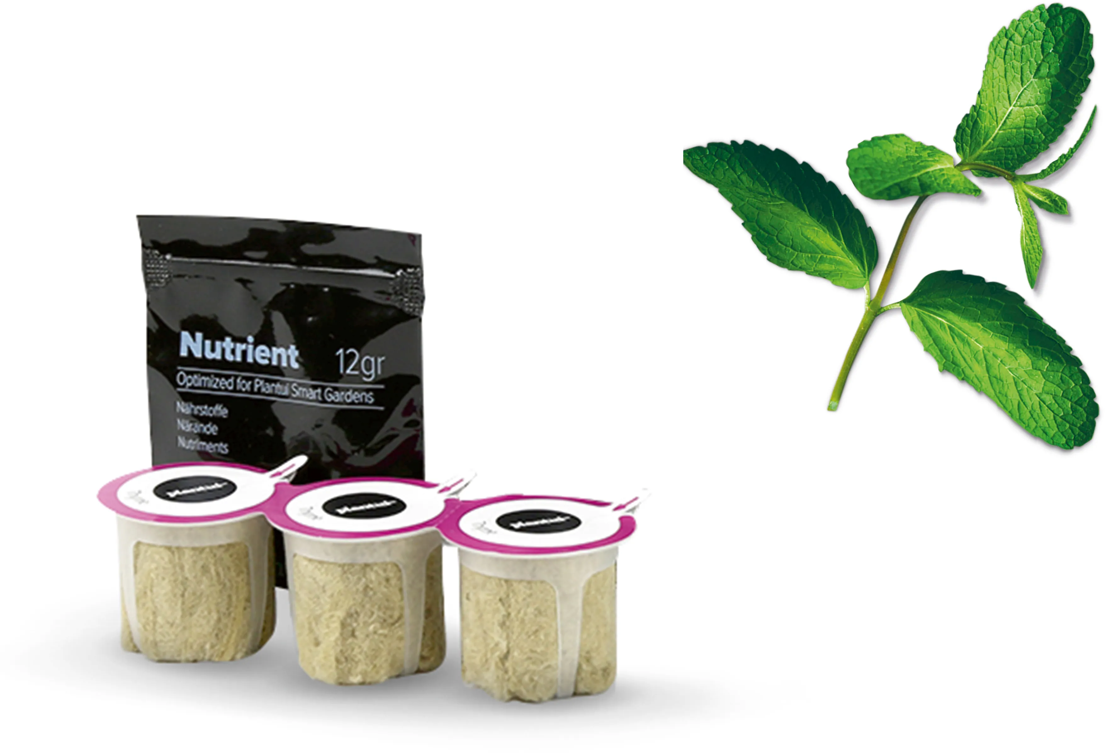 Foto n.º 1 del producto MSGZH011