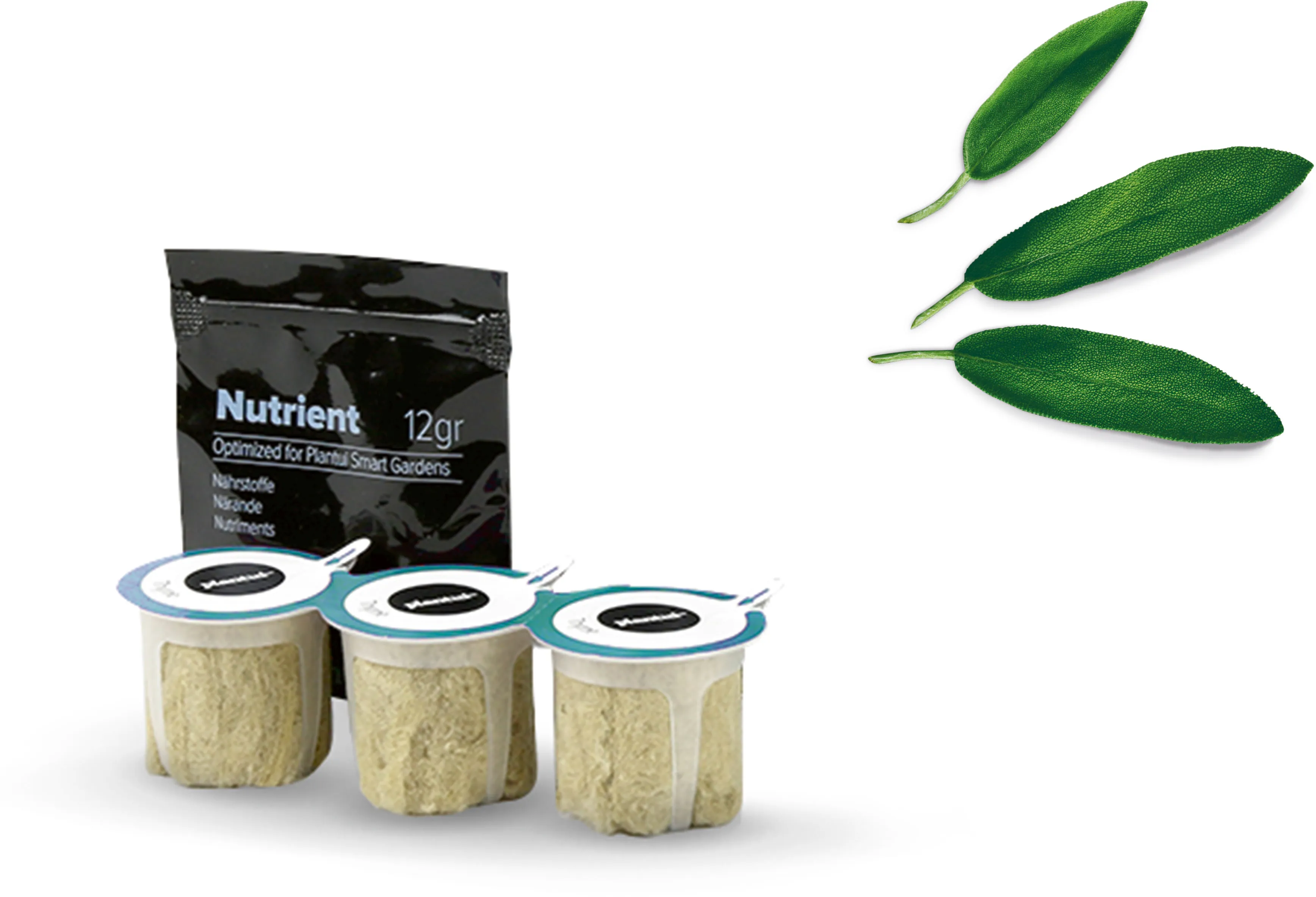 Foto Nº. 1 do produto MSGZH013