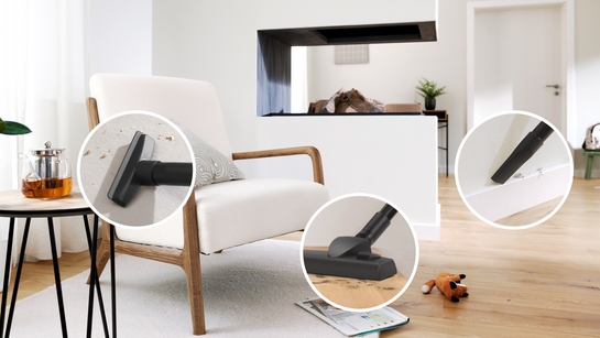 BOSCH Serie 2 Staubsauger mit Beutel Rot