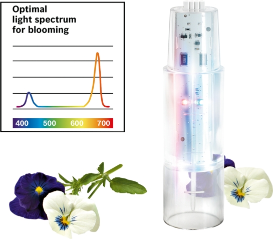 BOSCH Blühlicht-Modul MSGZHB3