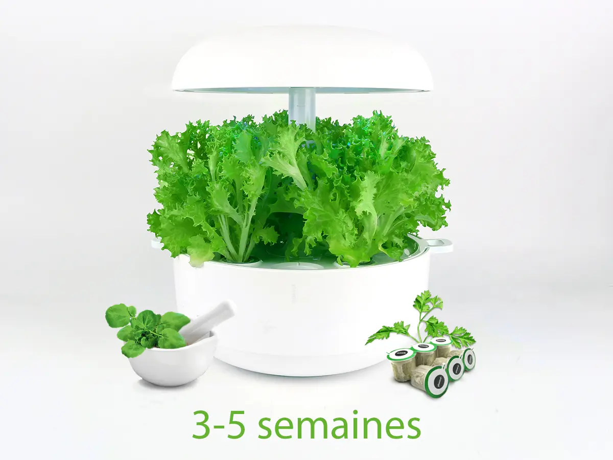 Photo n° 4 du produit