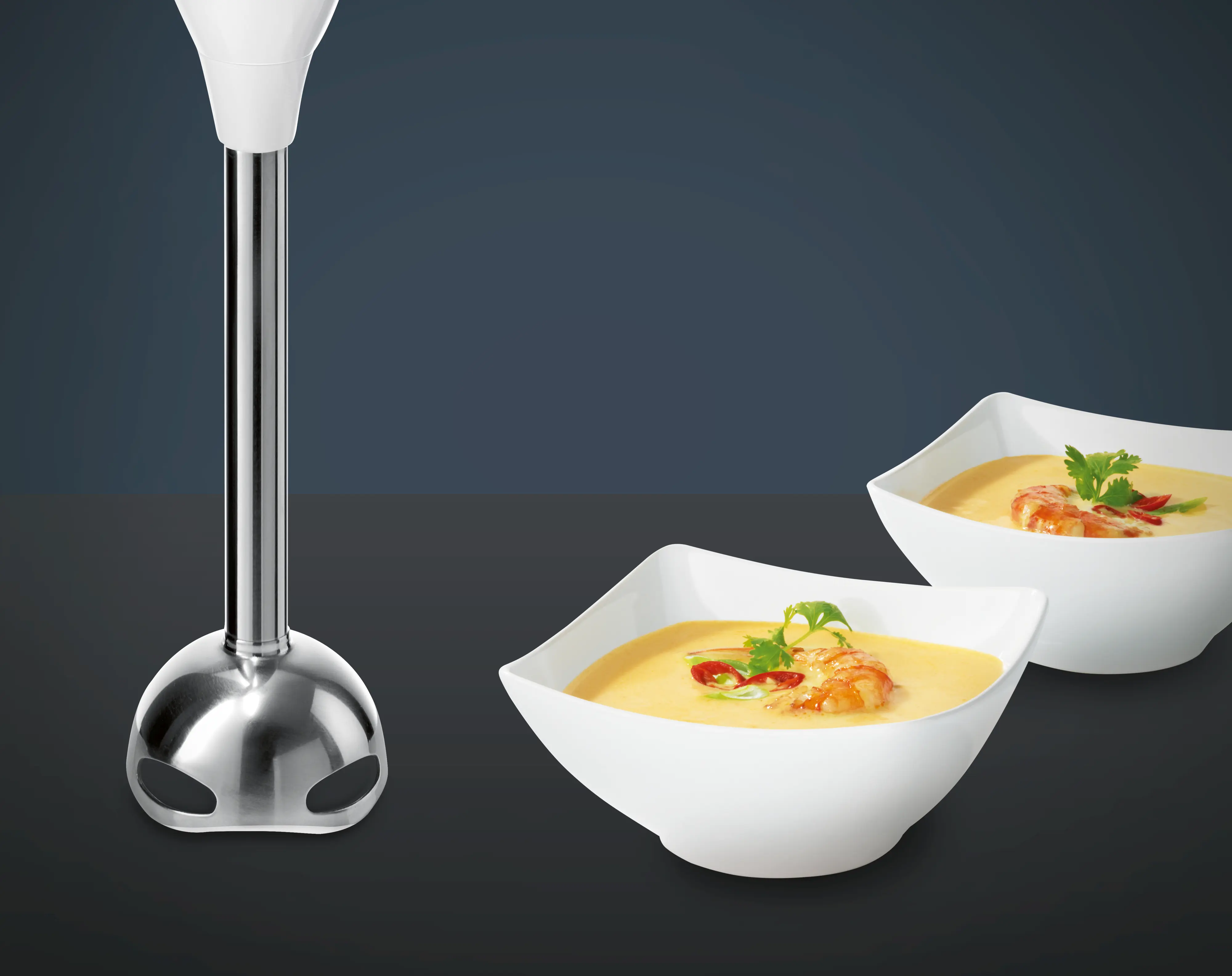MQ66155 Hand blender | Siemens Ev Aletleri