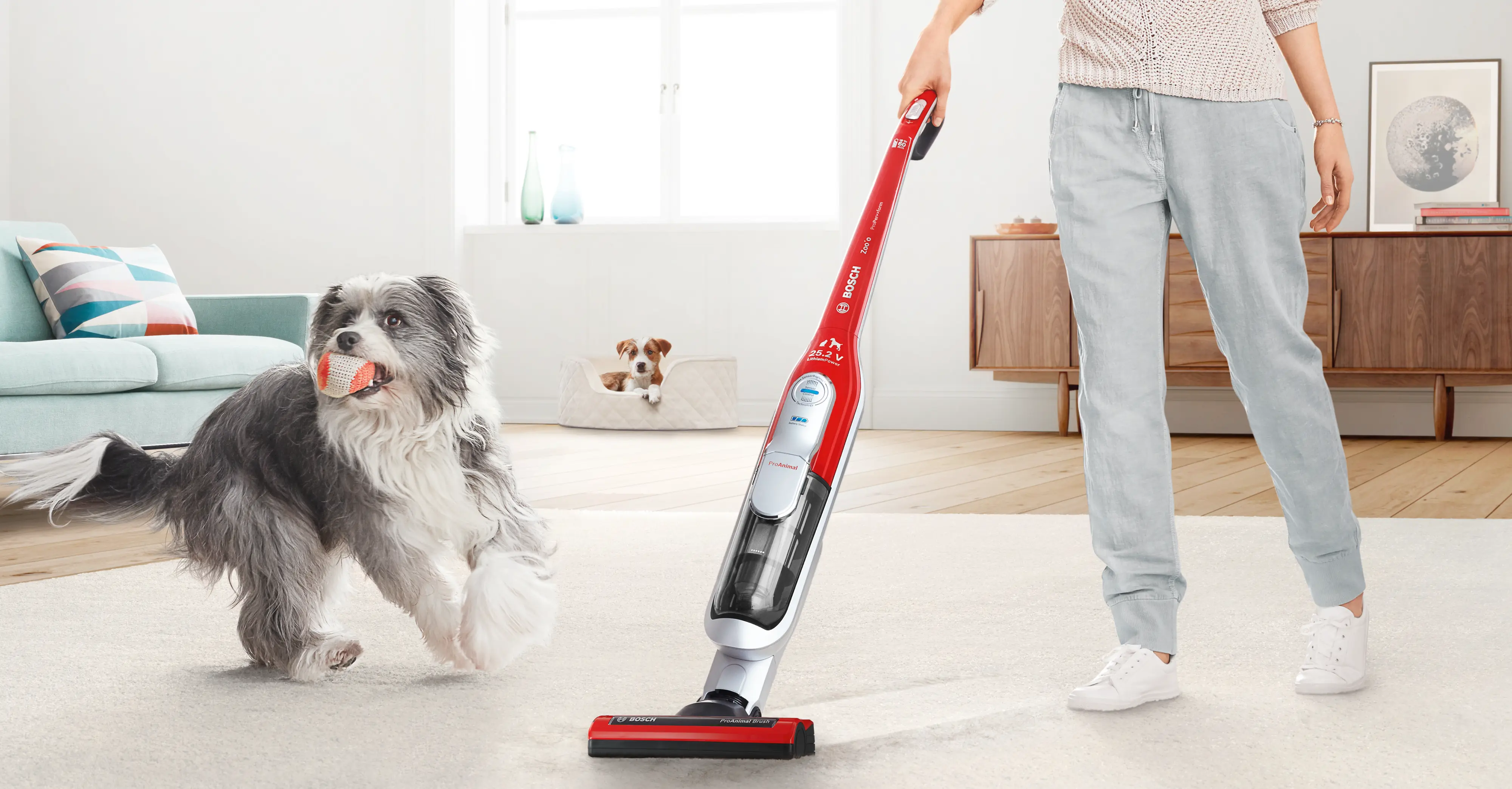 תמונה Nr. 6 של המוצר BBH6PZOO